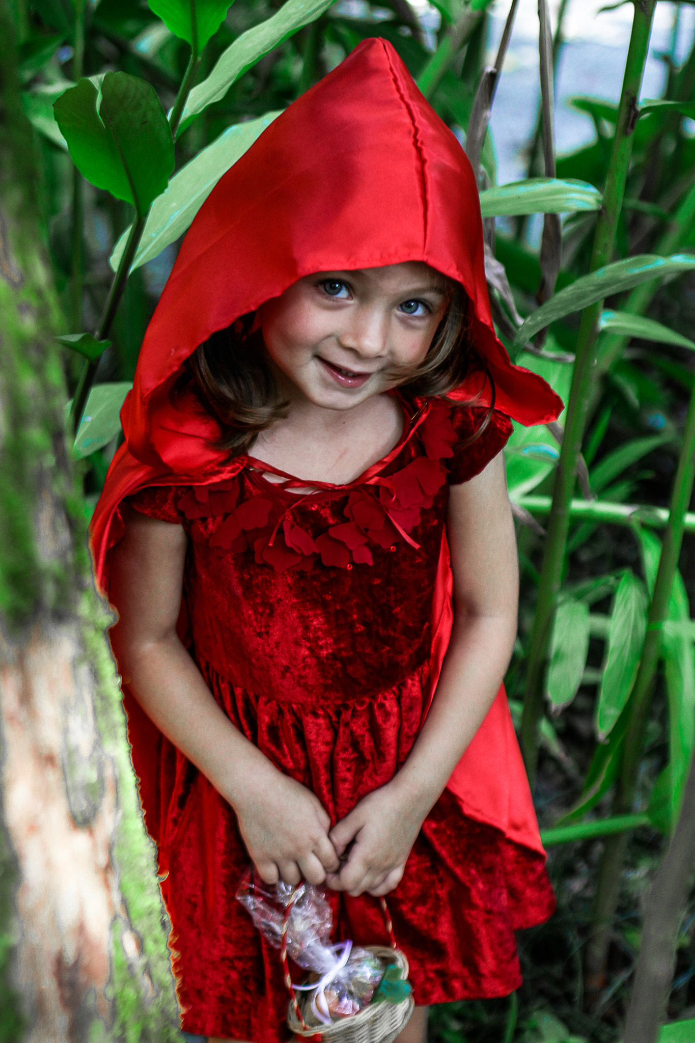 Canon EF 50mm F1.8 II sample photo. Img photography