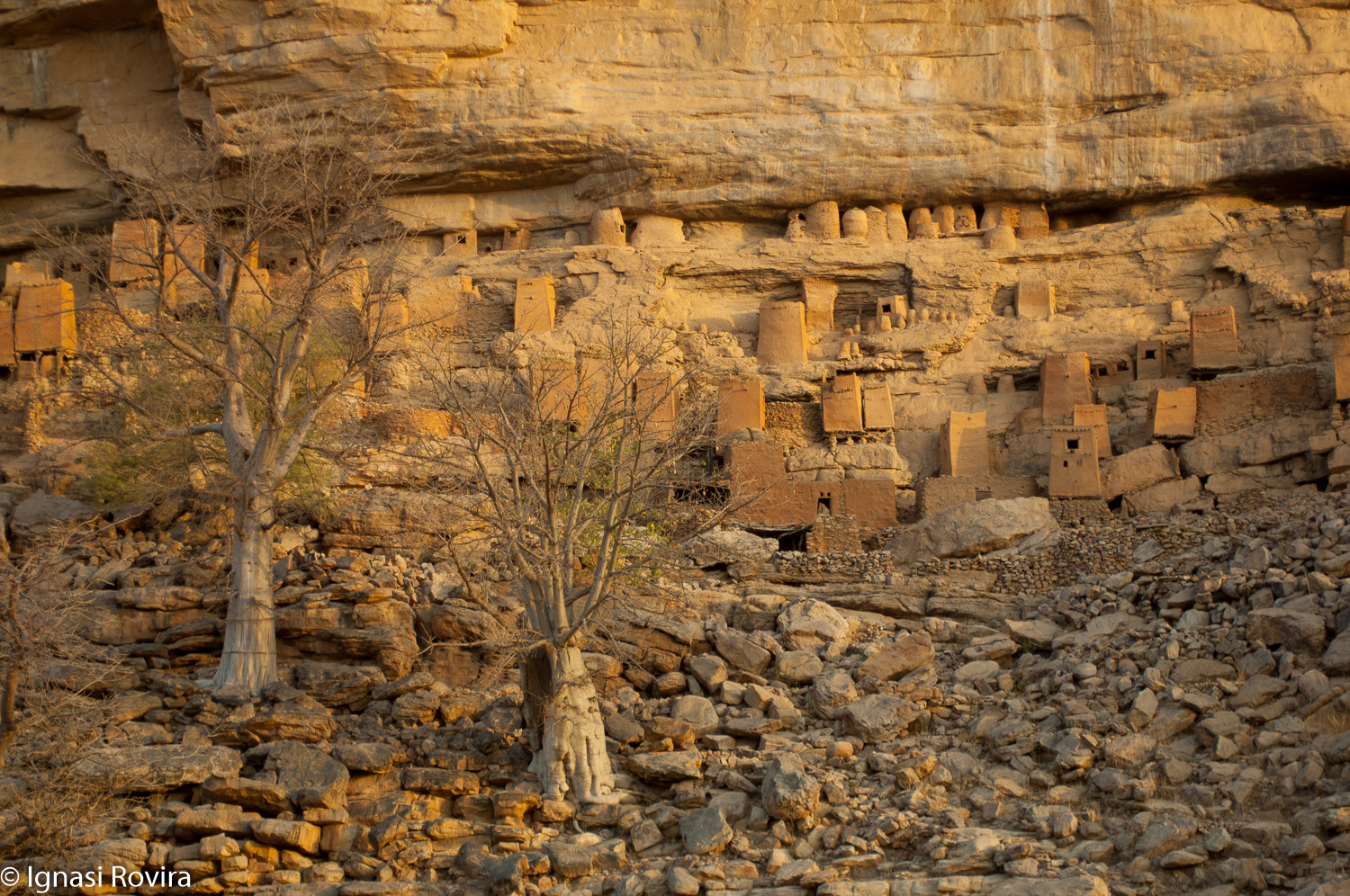 Nikon D2X sample photo. Teli. dogon. mali photography