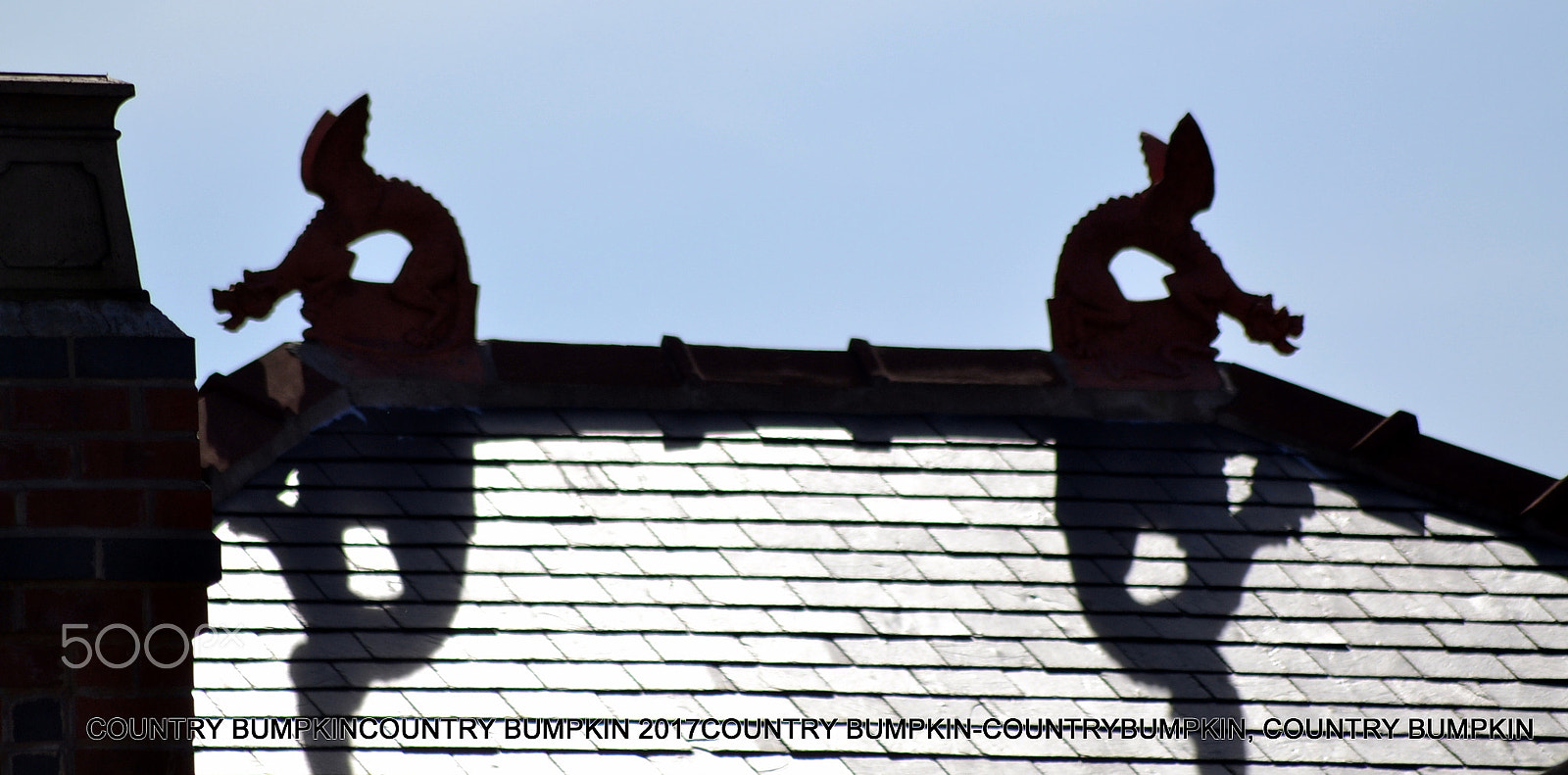 Sigma 70-300mm F4-5.6 APO DG Macro sample photo. Upon the roof photography