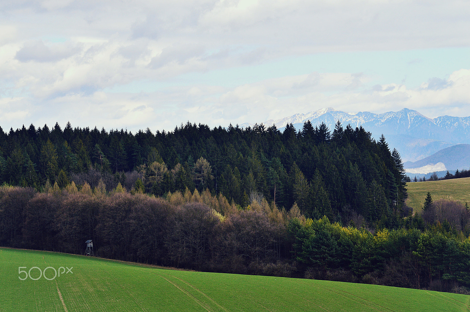 Nikon D3200 sample photo. Colours of spring photography