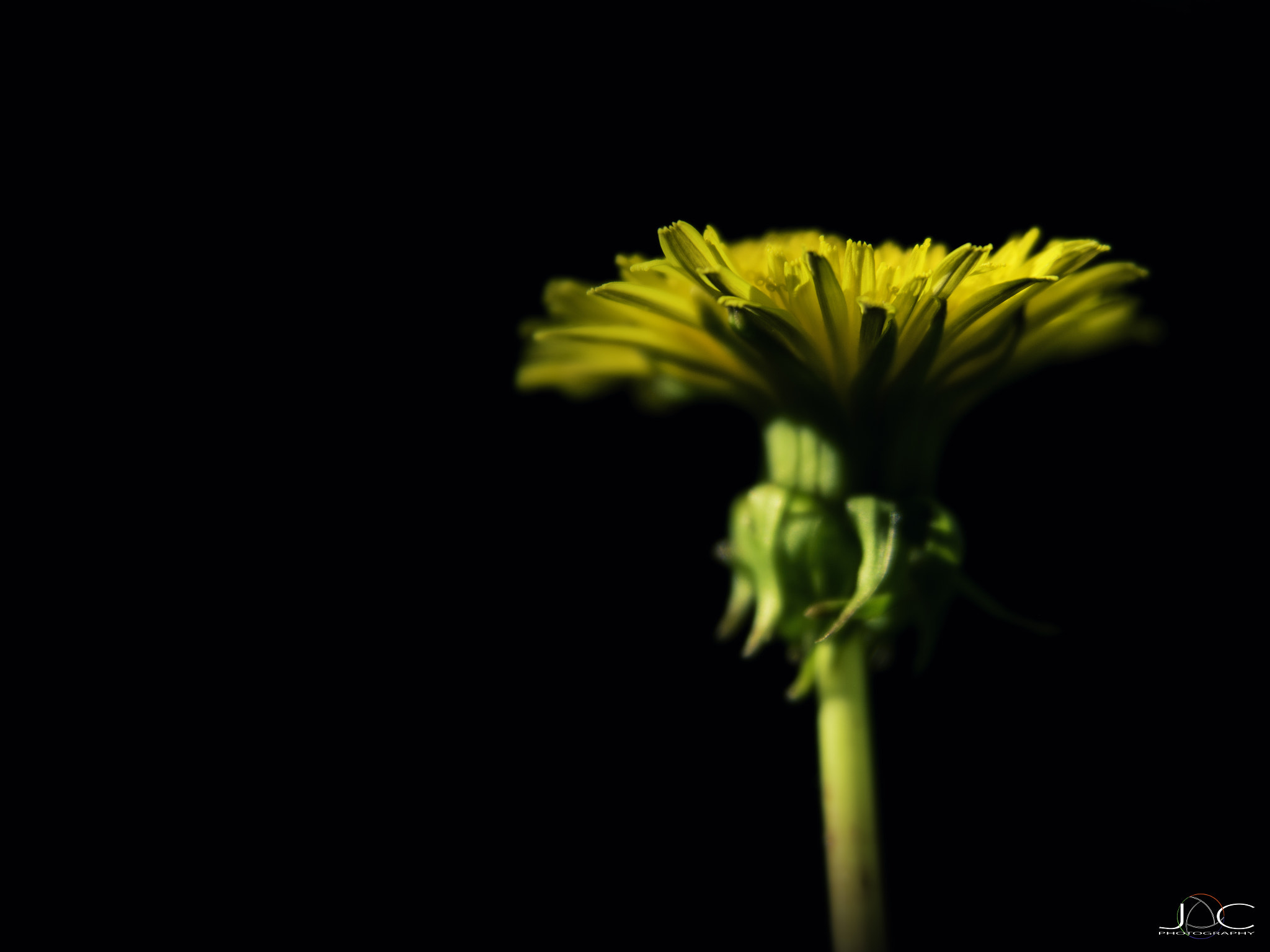 Nikon AF Nikkor 24-85mm F2.8-4D IF sample photo. Simple photography