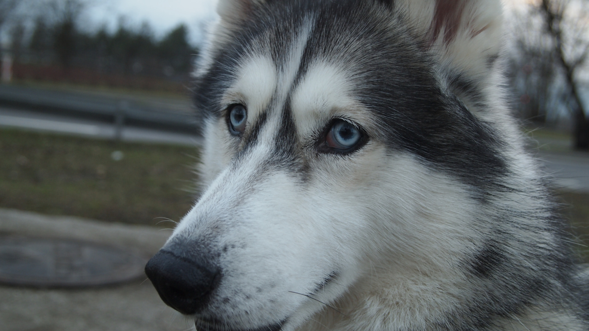 Olympus PEN E-PL2 sample photo. Kimiko photography
