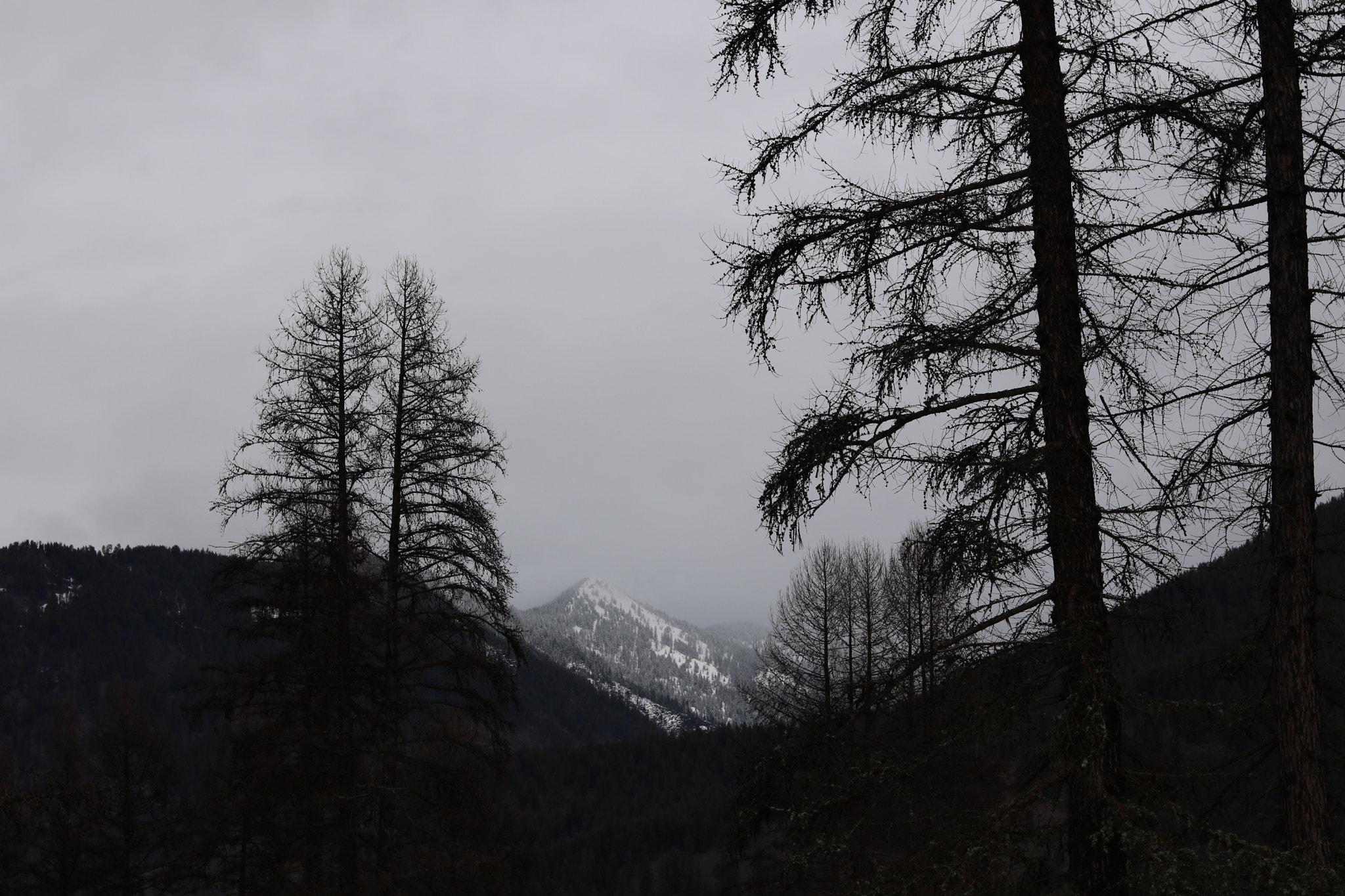 Canon EOS 750D (EOS Rebel T6i / EOS Kiss X8i) sample photo. Snowstorm photography