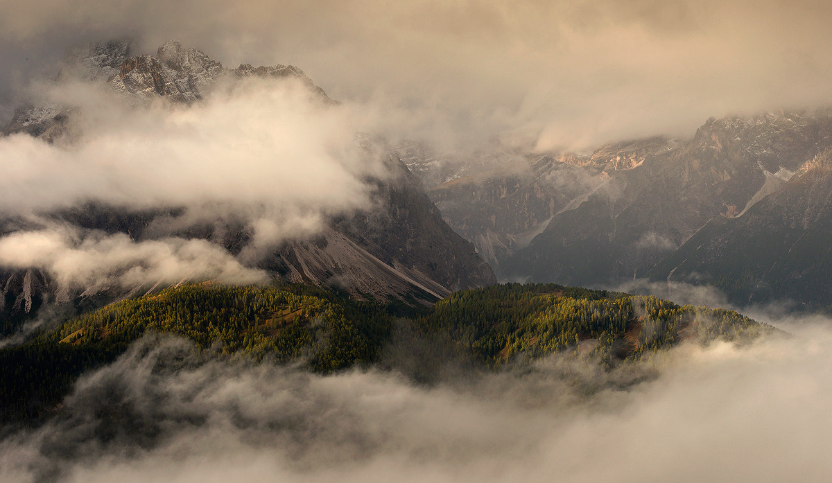 Nikon D800 sample photo. *** gsellwiesen *** photography