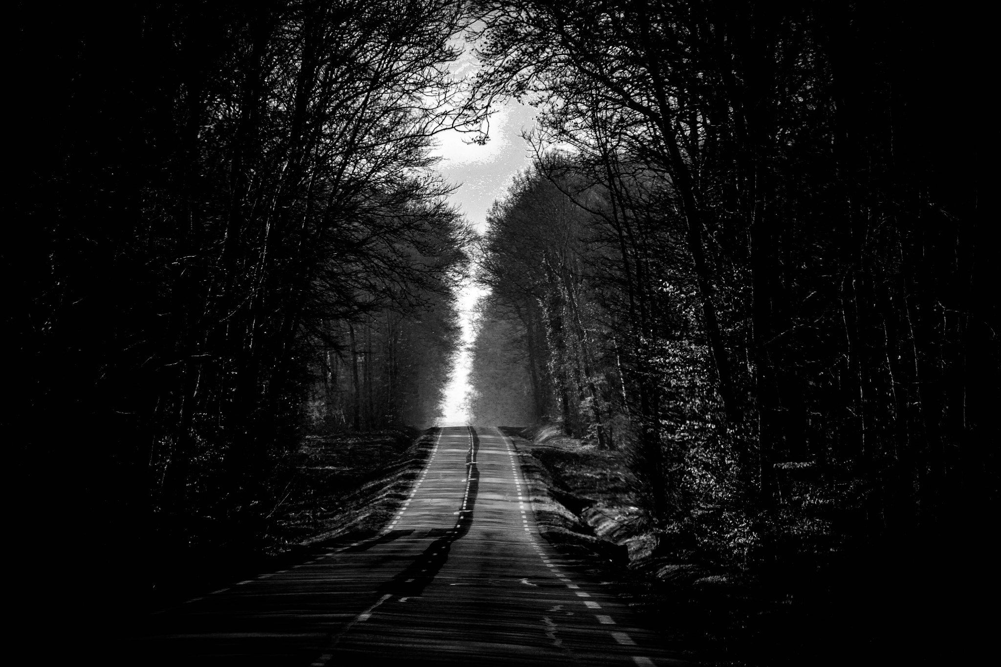 Canon EF-S 18-200mm F3.5-5.6 IS sample photo. "imagine a way on the woods" photography