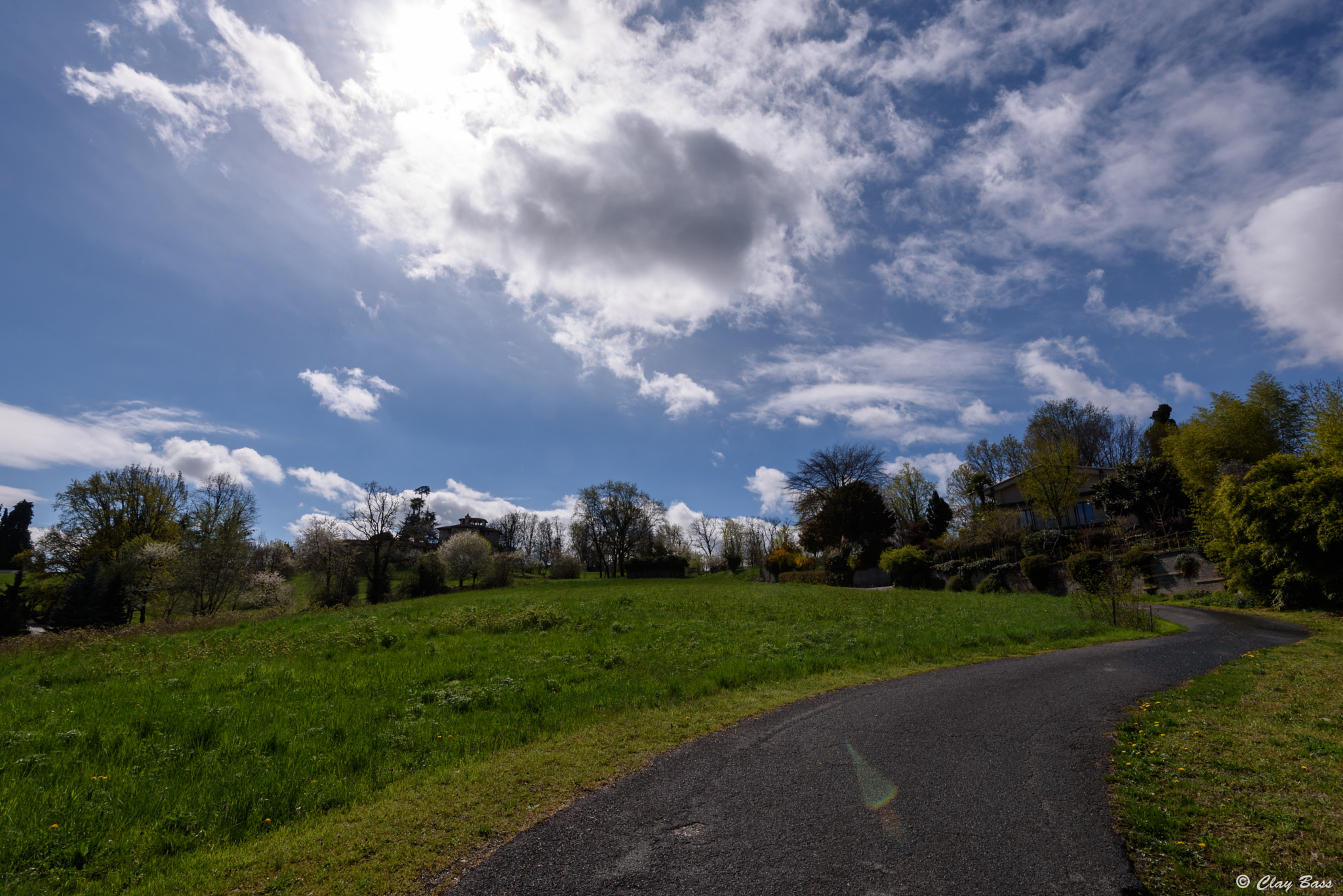 Nikon AF-S Nikkor 16-35mm F4G ED VR sample photo. La primavera non è un'opinione photography