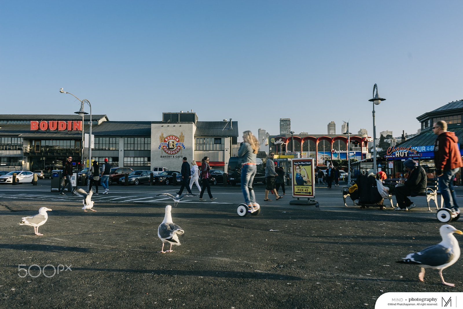 Sony a7R + Sony FE 28-70mm F3.5-5.6 OSS sample photo. Mindphatchinusa2016 photography