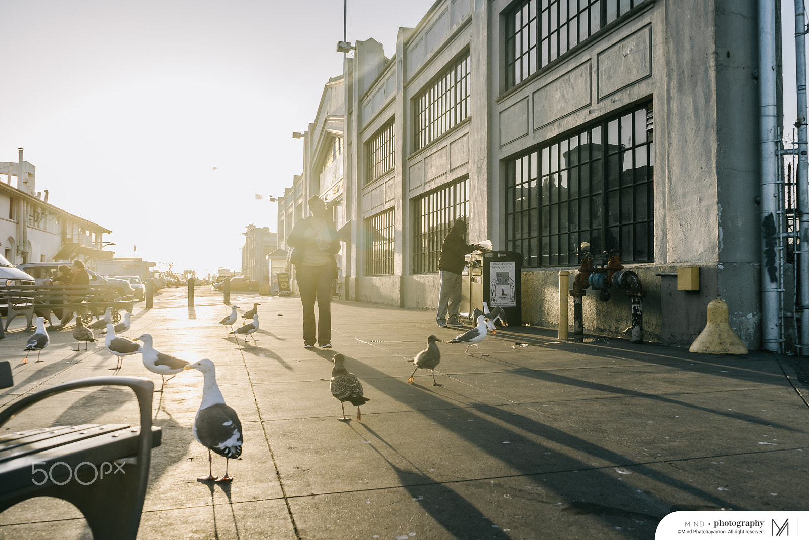 Sony a7R + Sony FE 28-70mm F3.5-5.6 OSS sample photo. Mindphatchinusa2016 photography