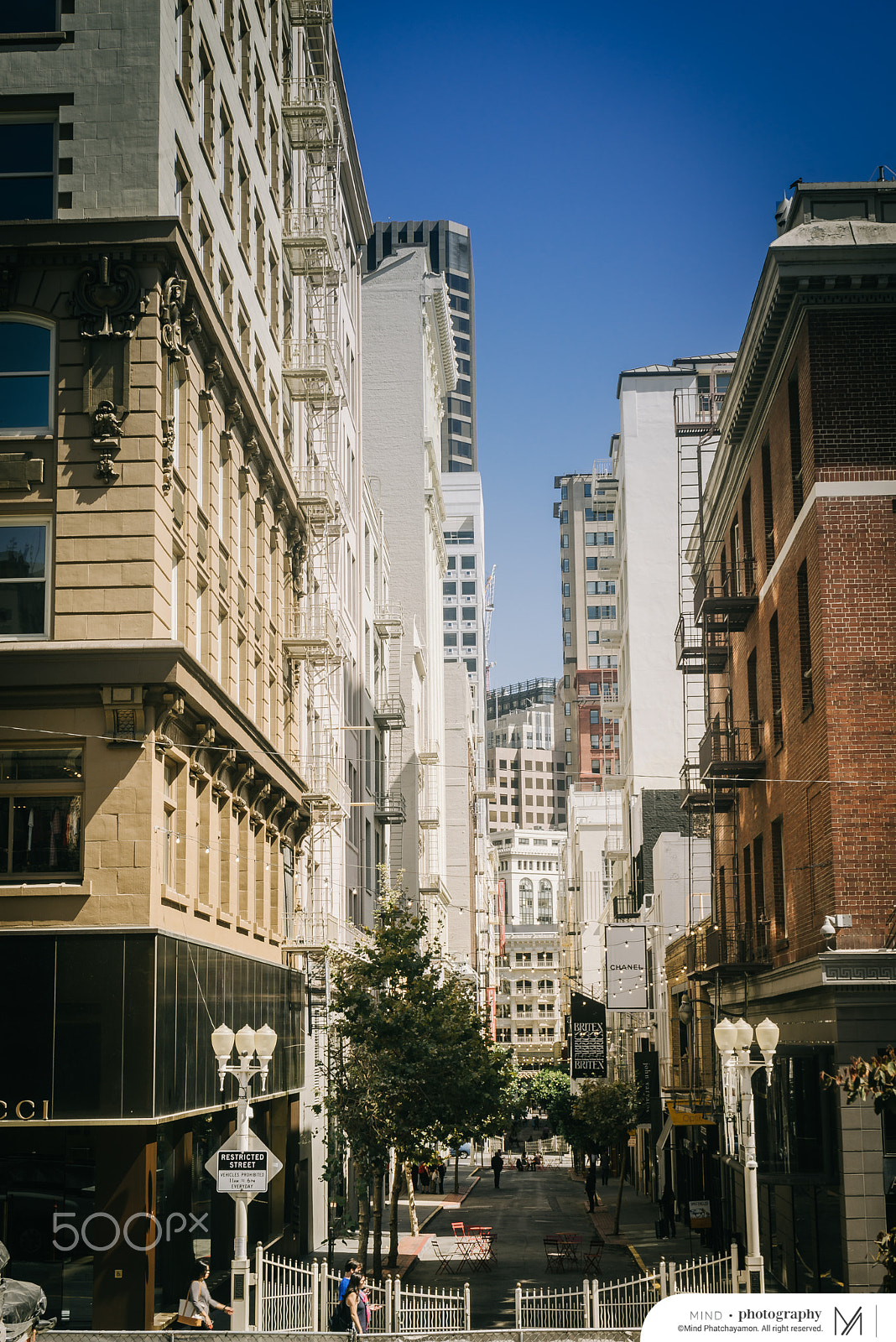 Sony a7R + Sony FE 28-70mm F3.5-5.6 OSS sample photo. Mindphatchinusa2016 photography