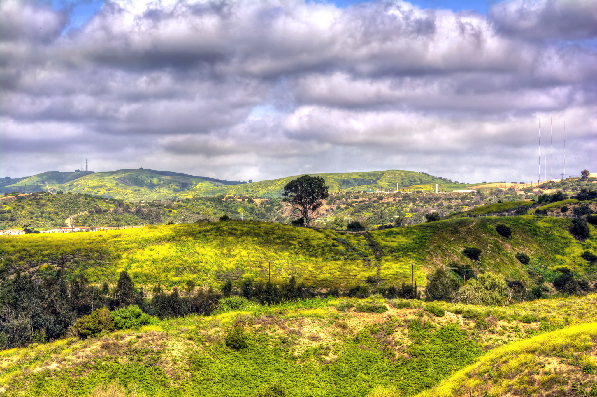 Nikon D7100 + Sigma 70-300mm F4-5.6 APO Macro Super II sample photo. Hills with flowers photography