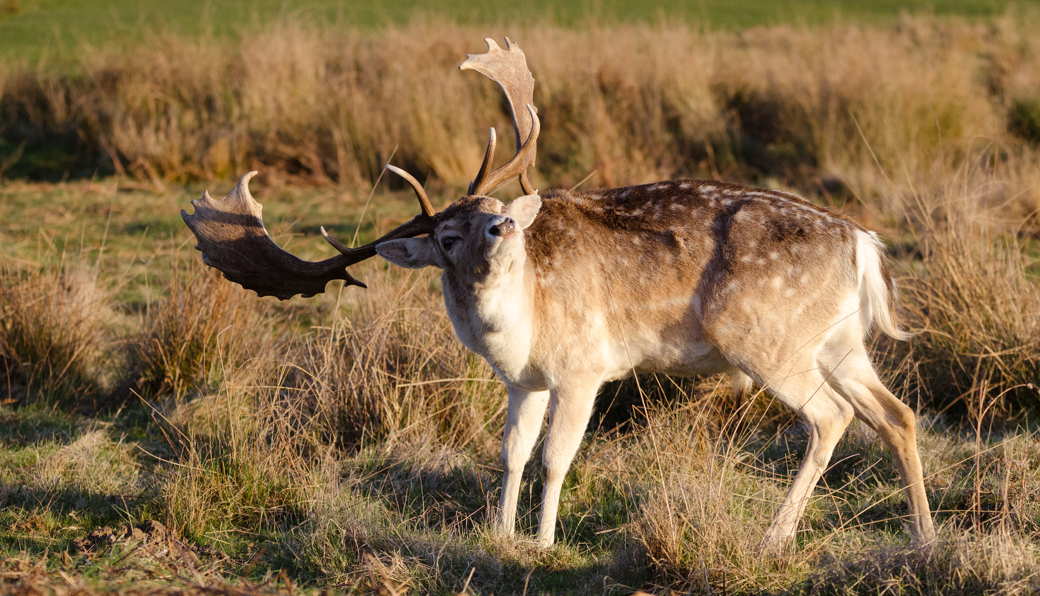 Nikon D7000 sample photo. That's some good scratch photography