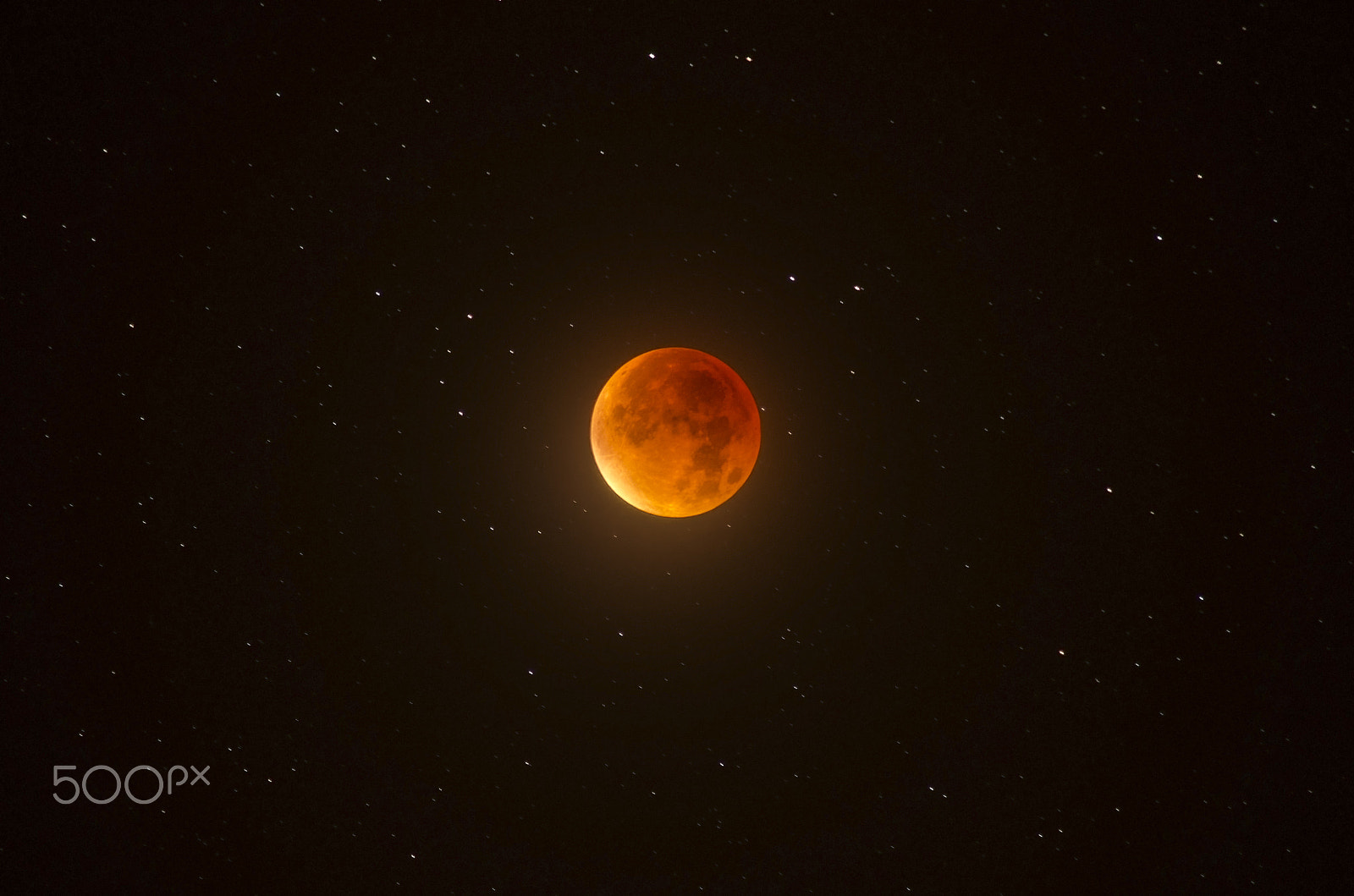Nikon D5100 + Tamron SP 70-300mm F4-5.6 Di VC USD sample photo. Lunar eclipse from bodmin, cornwall, uk. photography