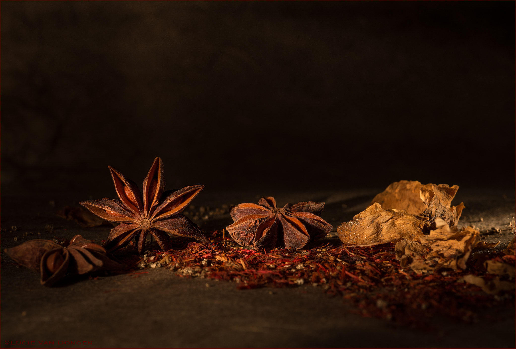 Nikon D610 + Nikon AF Micro-Nikkor 60mm F2.8D sample photo. Illicium verum , anise photography