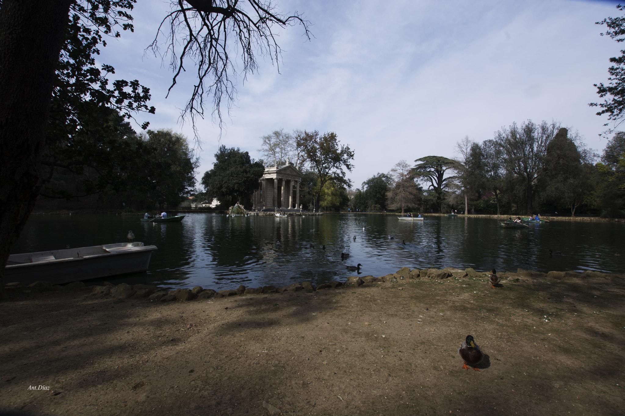 Sigma 10-20mm F3.5 EX DC HSM sample photo. Roma photography