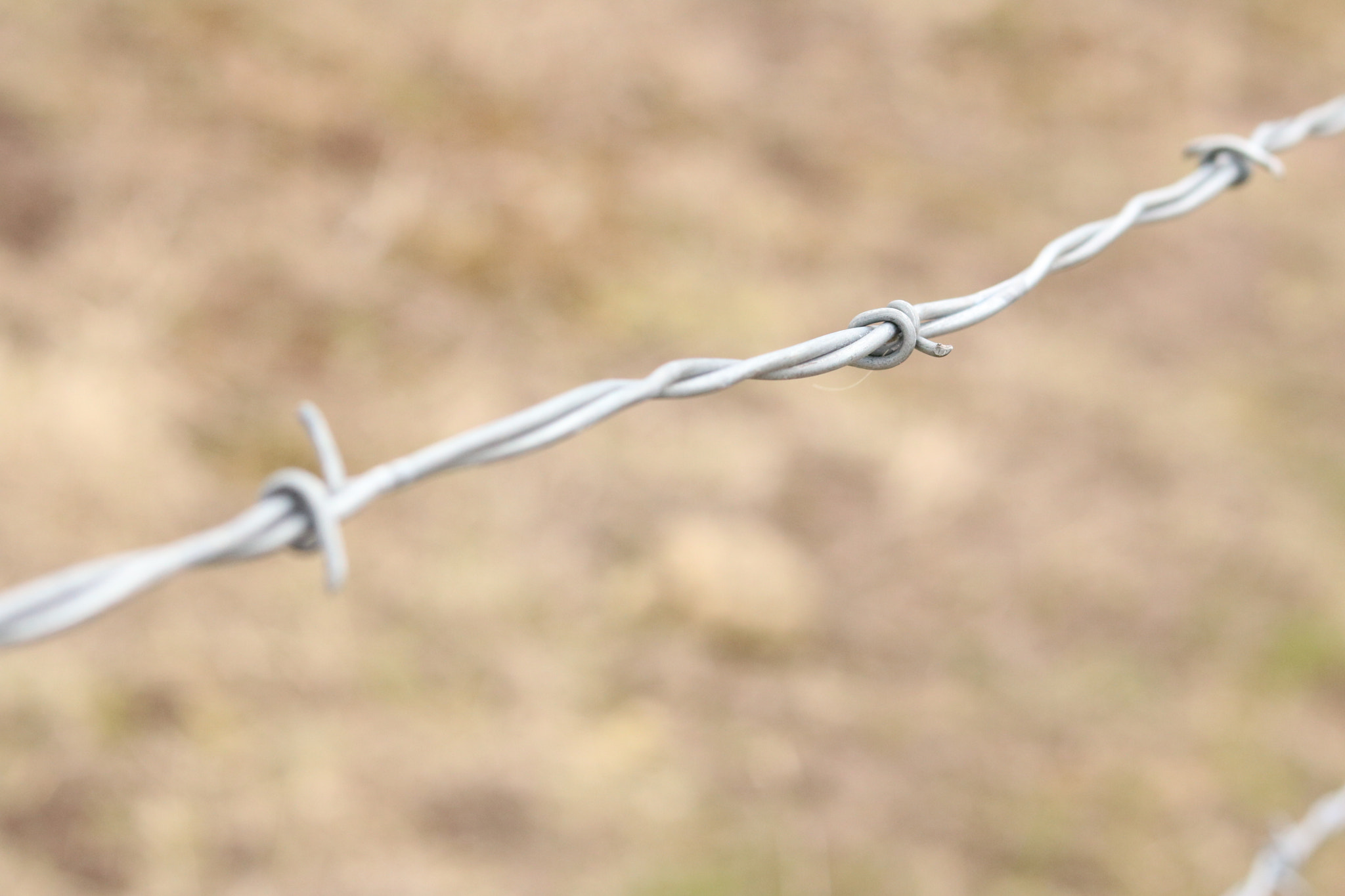 Canon EOS 750D (EOS Rebel T6i / EOS Kiss X8i) sample photo. Barbed wire 1 photography