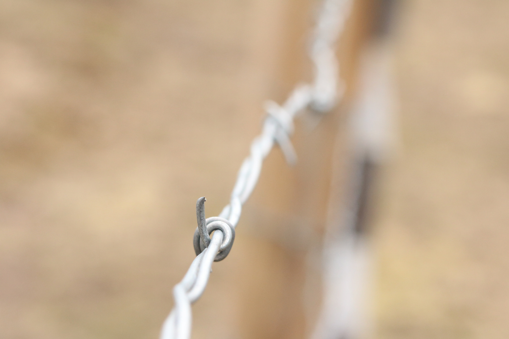 Canon EOS 750D (EOS Rebel T6i / EOS Kiss X8i) sample photo. Barb photography