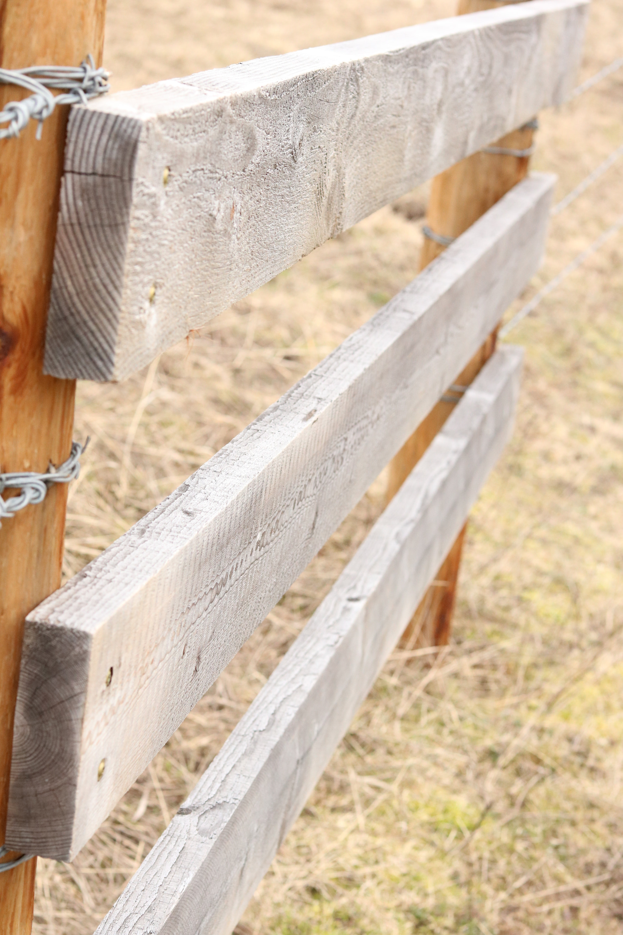 Canon EOS 750D (EOS Rebel T6i / EOS Kiss X8i) sample photo. Wood fence photography