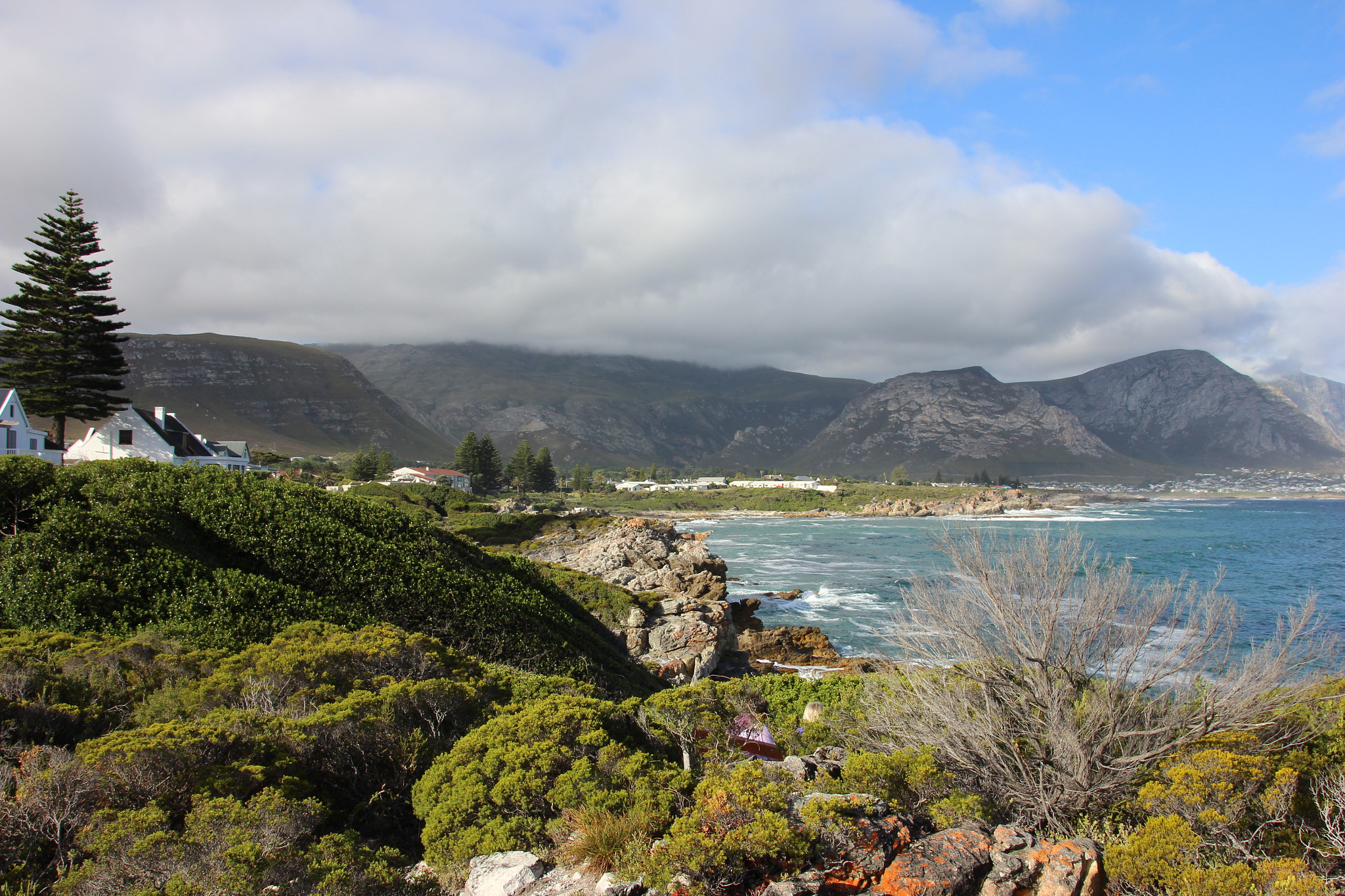Sigma 18-250mm F3.5-6.3 DC OS HSM sample photo. South africa photography