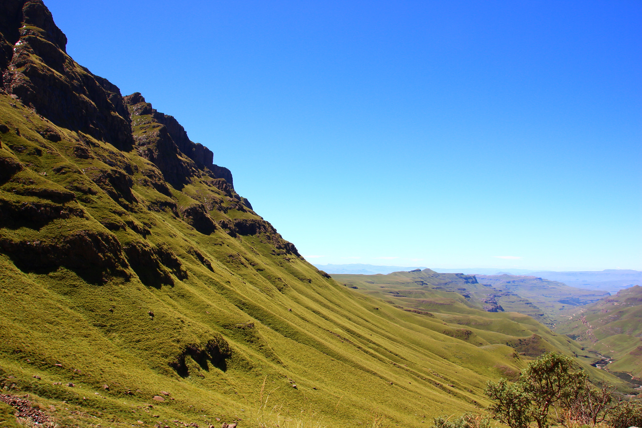 Canon EOS 600D (Rebel EOS T3i / EOS Kiss X5) + Sigma 18-250mm F3.5-6.3 DC OS HSM sample photo. South africa photography