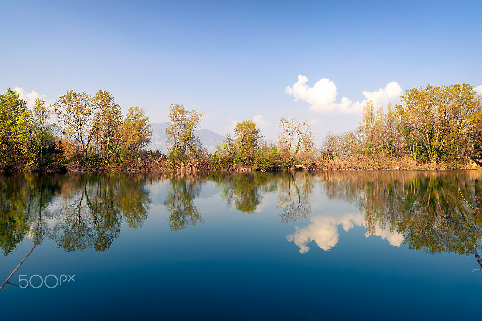 Canon EOS 5D Mark II + ZEISS Distagon T* 21mm F2.8 sample photo. Pond reflections photography