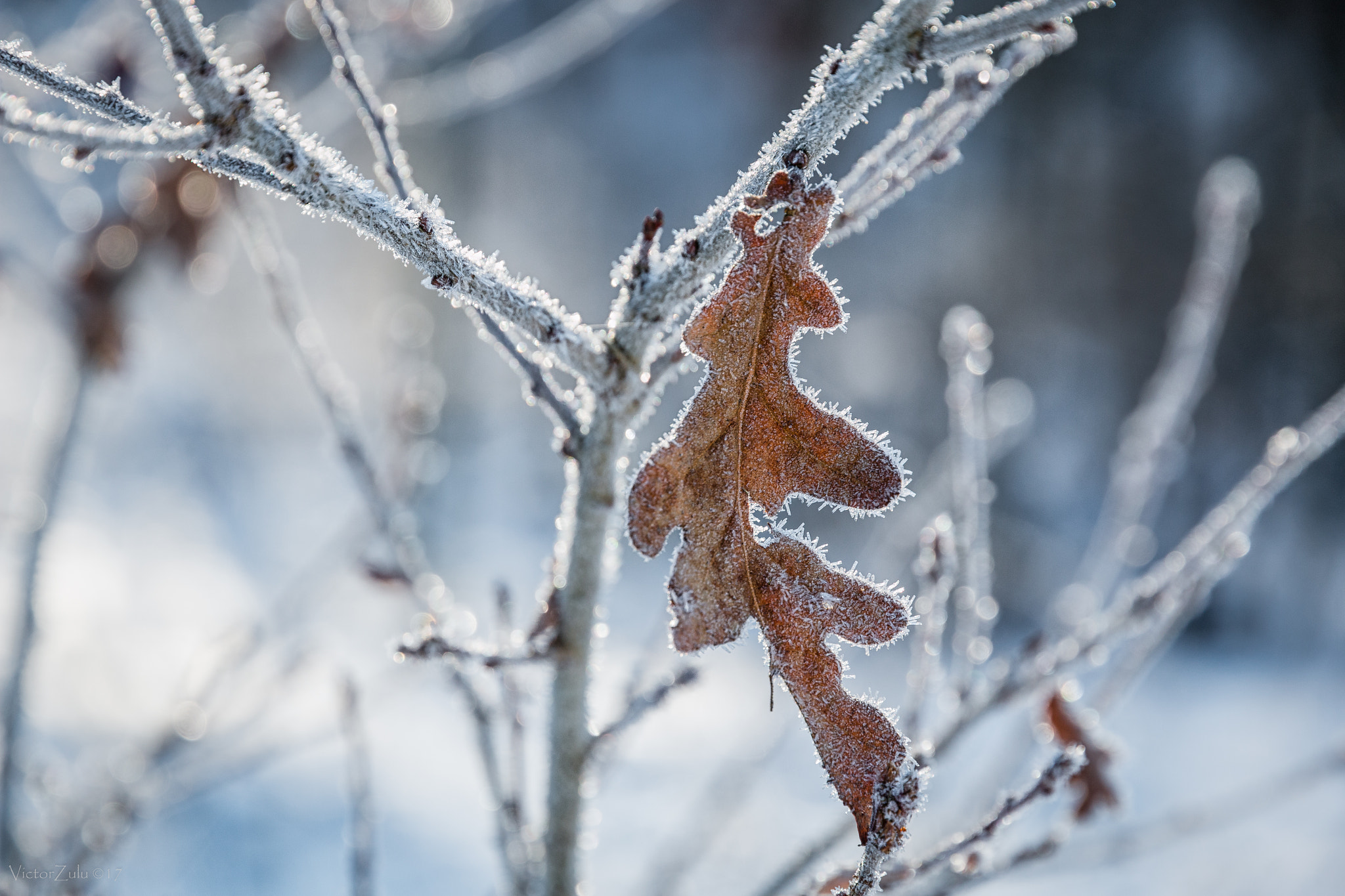 Canon EOS 70D sample photo. Last sign of winter photography