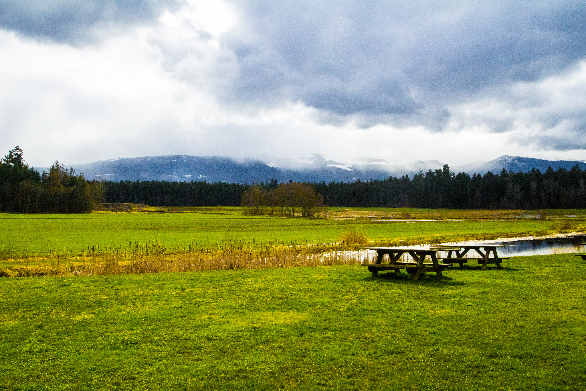 Sigma 10-20mm F3.5 EX DC HSM sample photo. Grassy field photography