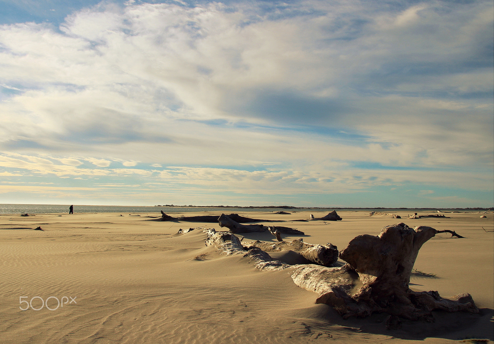 Sigma 18-250mm F3.5-6.3 DC OS HSM sample photo. Les rejets de la mer... photography