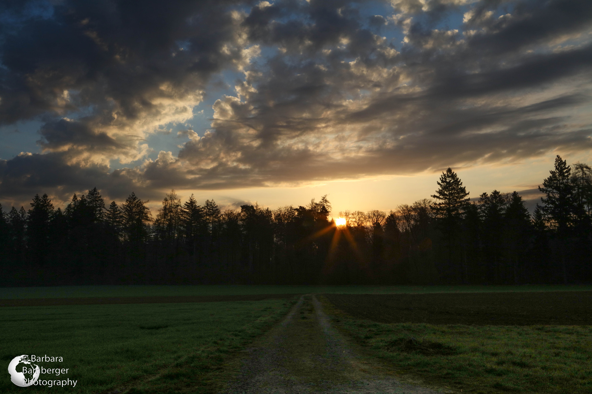 Canon EOS 5DS R sample photo. Morning has broken photography