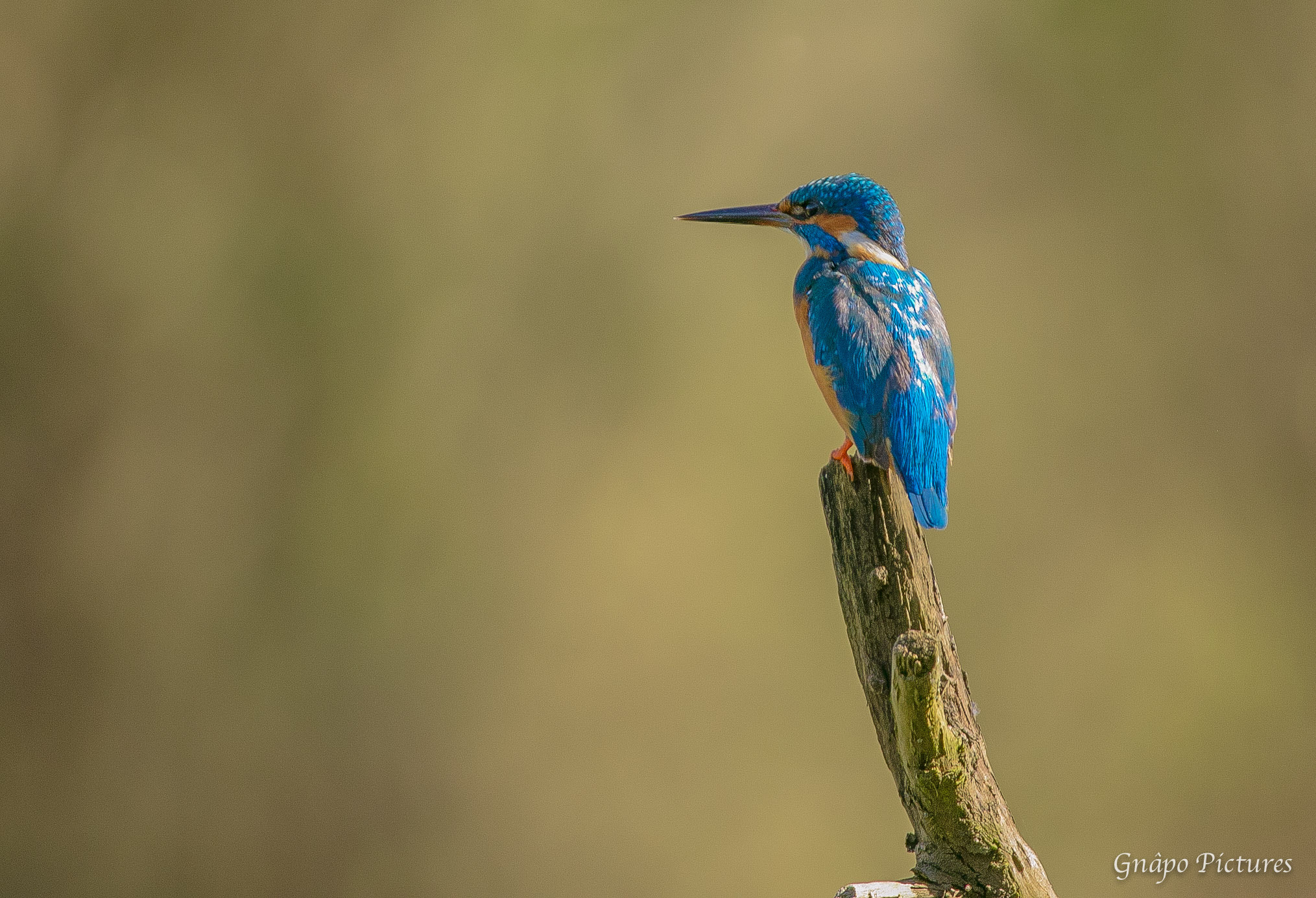150-600mm F5-6.3 DG OS HSM | Contemporary 015 sample photo. Tva photography
