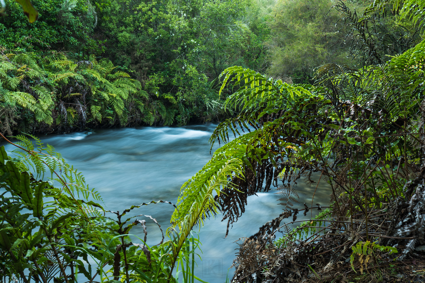 Nikon D500 sample photo. Keep the flow photography