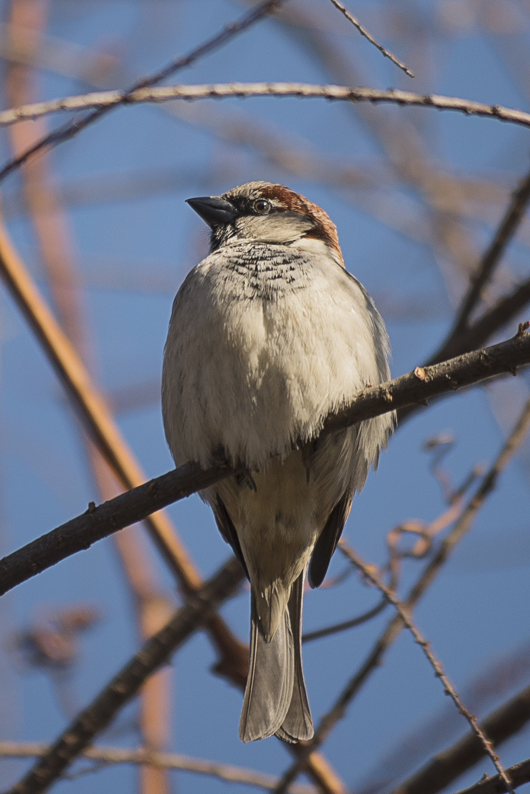 Nikon D810 sample photo