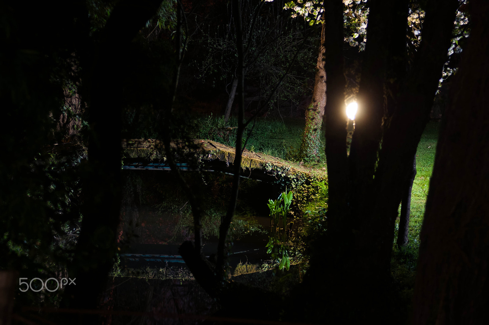 Nikon AF-Nikkor 80-200mm F2.8D ED sample photo. Path over the river photography