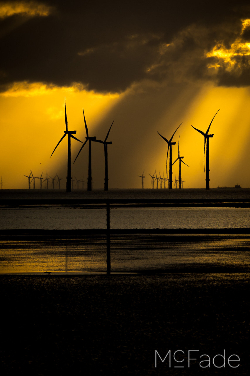 Canon EOS 5D Mark IV + Canon EF 500mm f/4.5L sample photo. Windfarms on the mersey 503 - liverpool crosby photography