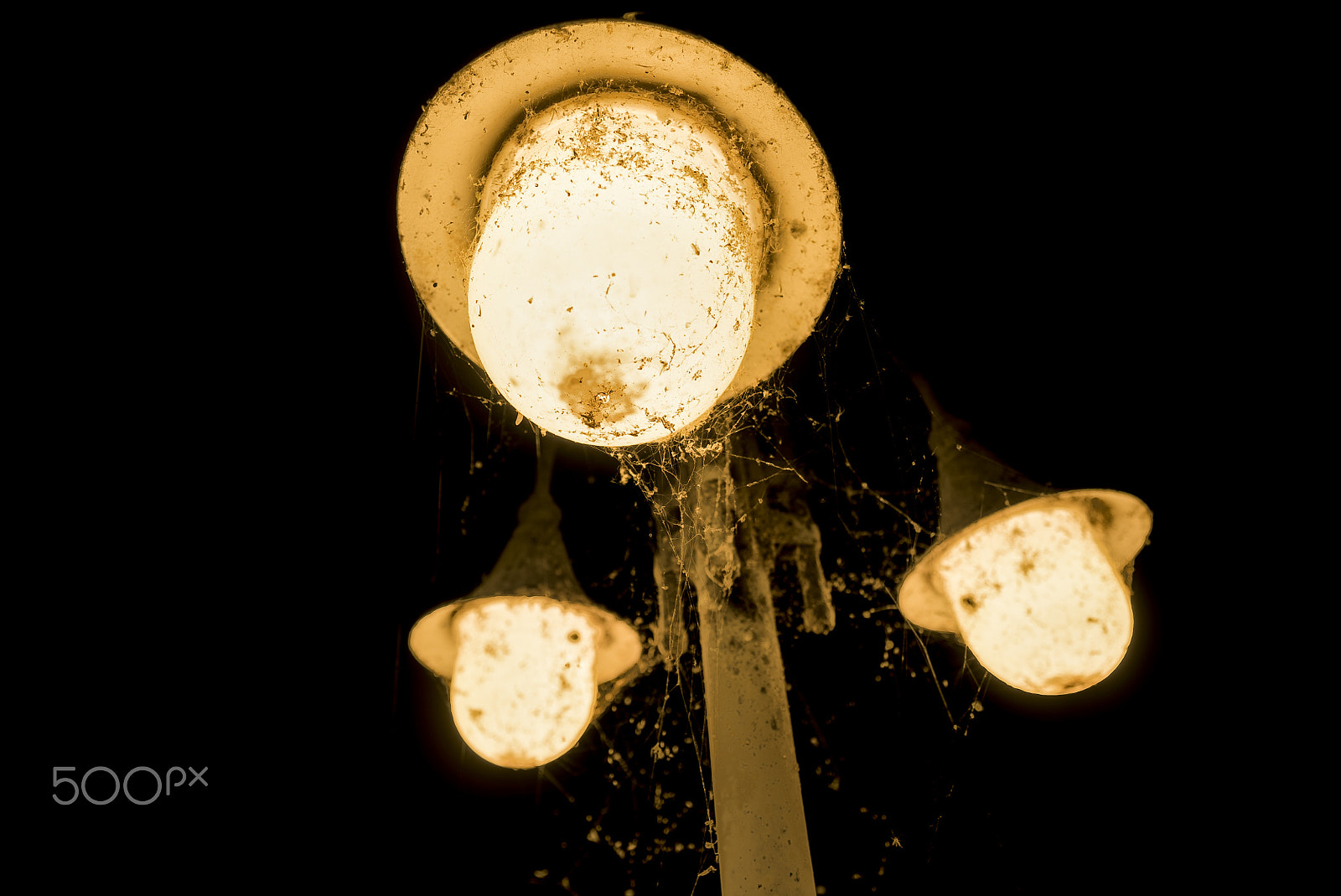 Sony a7S II + ZEISS Batis 18mm F2.8 sample photo. Late night shot of a bugs/insect flying around light post. photography