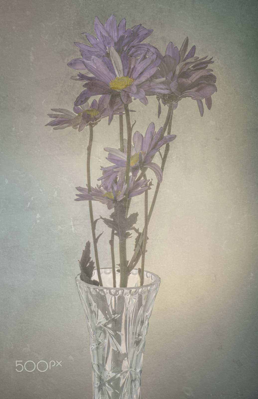 Nikon AF-S Nikkor 70-200mm F2.8G ED VR II sample photo. Purple flowers in glass vase photography