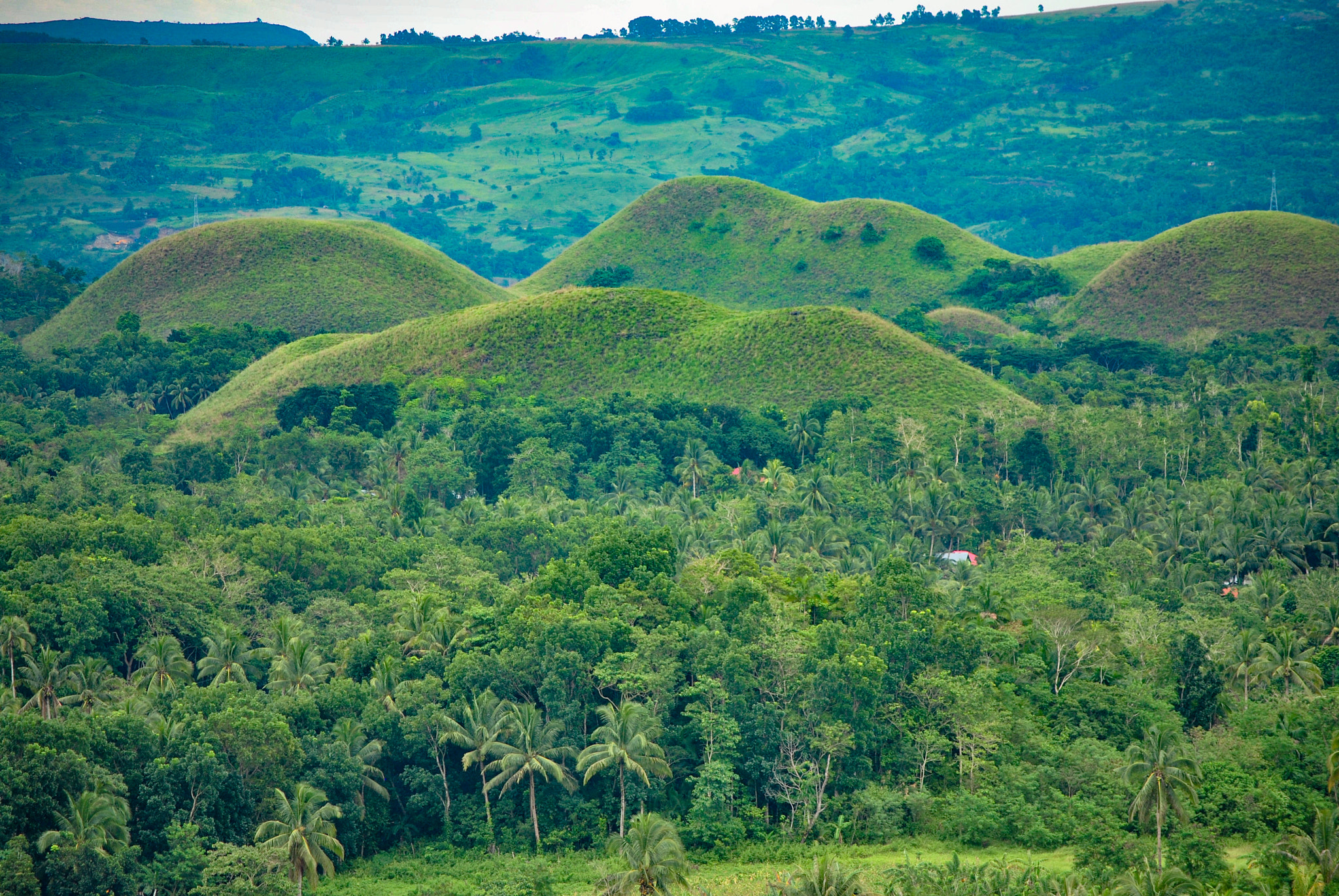 Nikon D3000 sample photo. Bohol, philippines photography