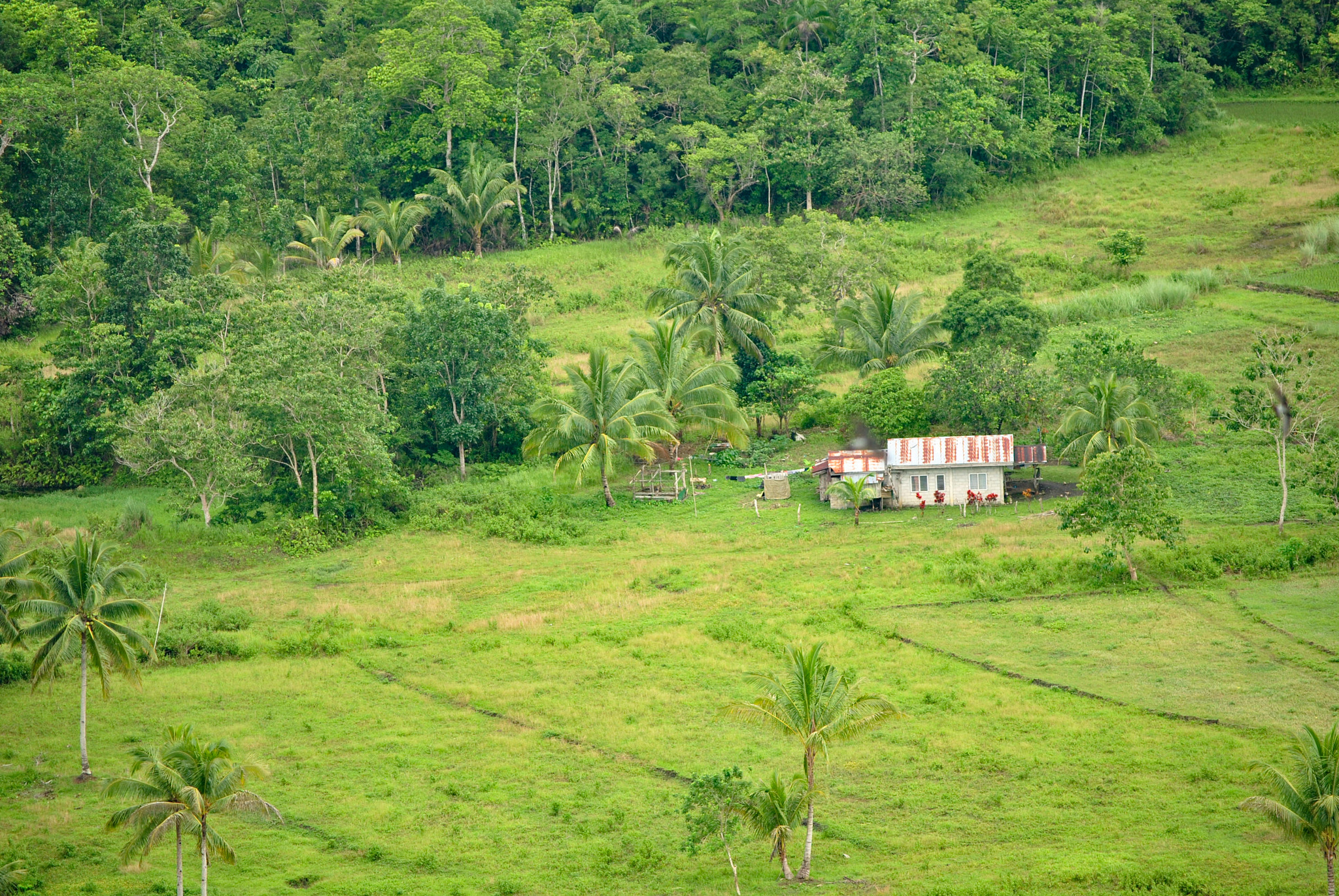 Nikon D3000 sample photo. Bohol, philippines photography