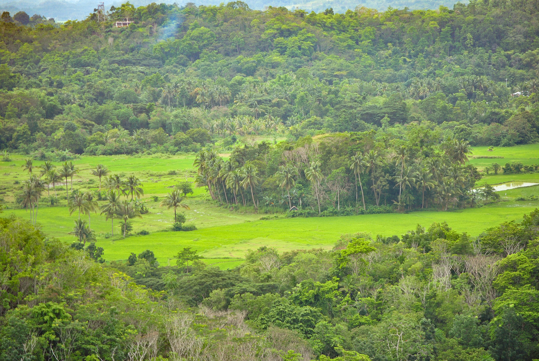 Nikon D3000 sample photo. Bohol, philippines photography
