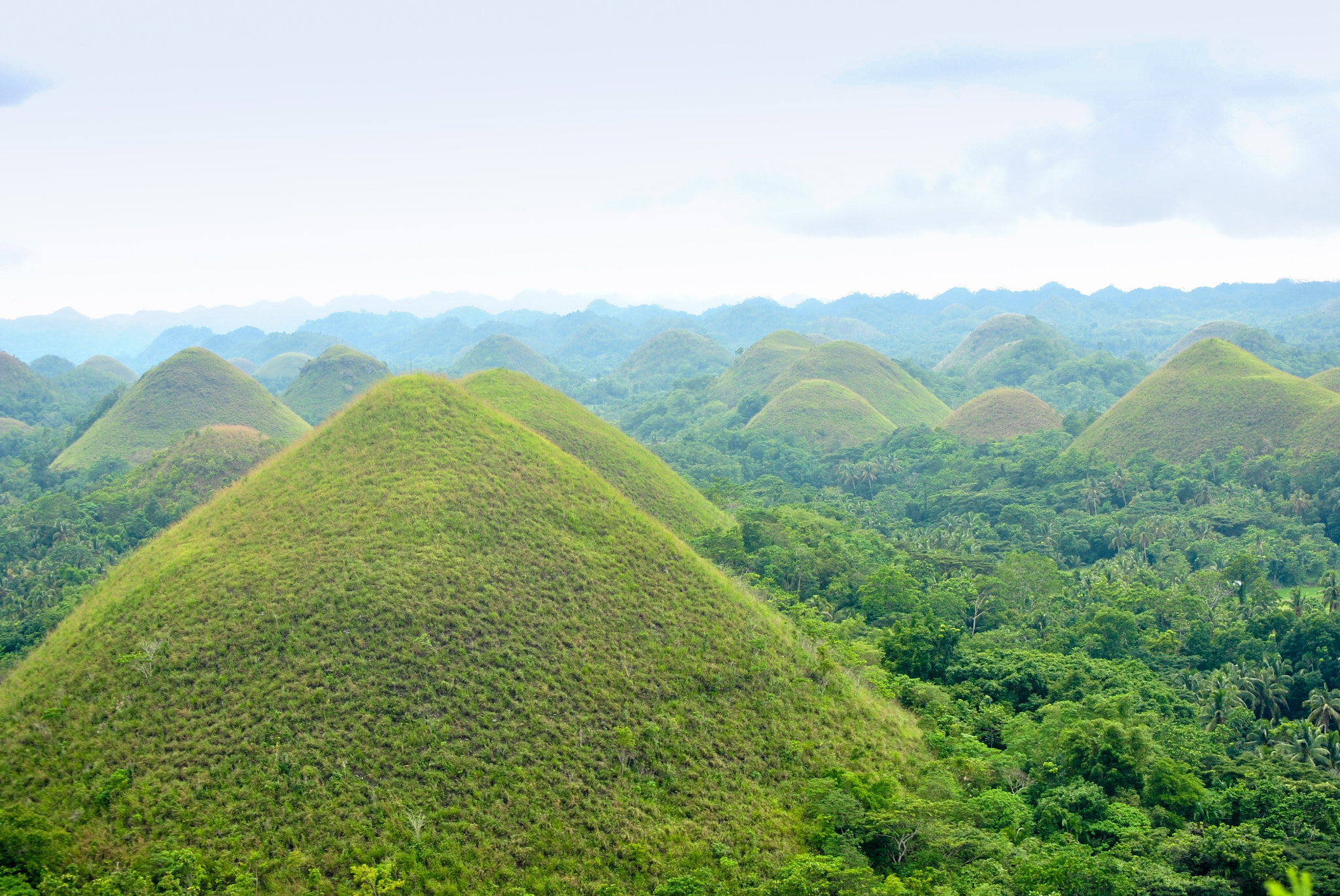 Nikon D3000 sample photo. Bohol, philippines photography