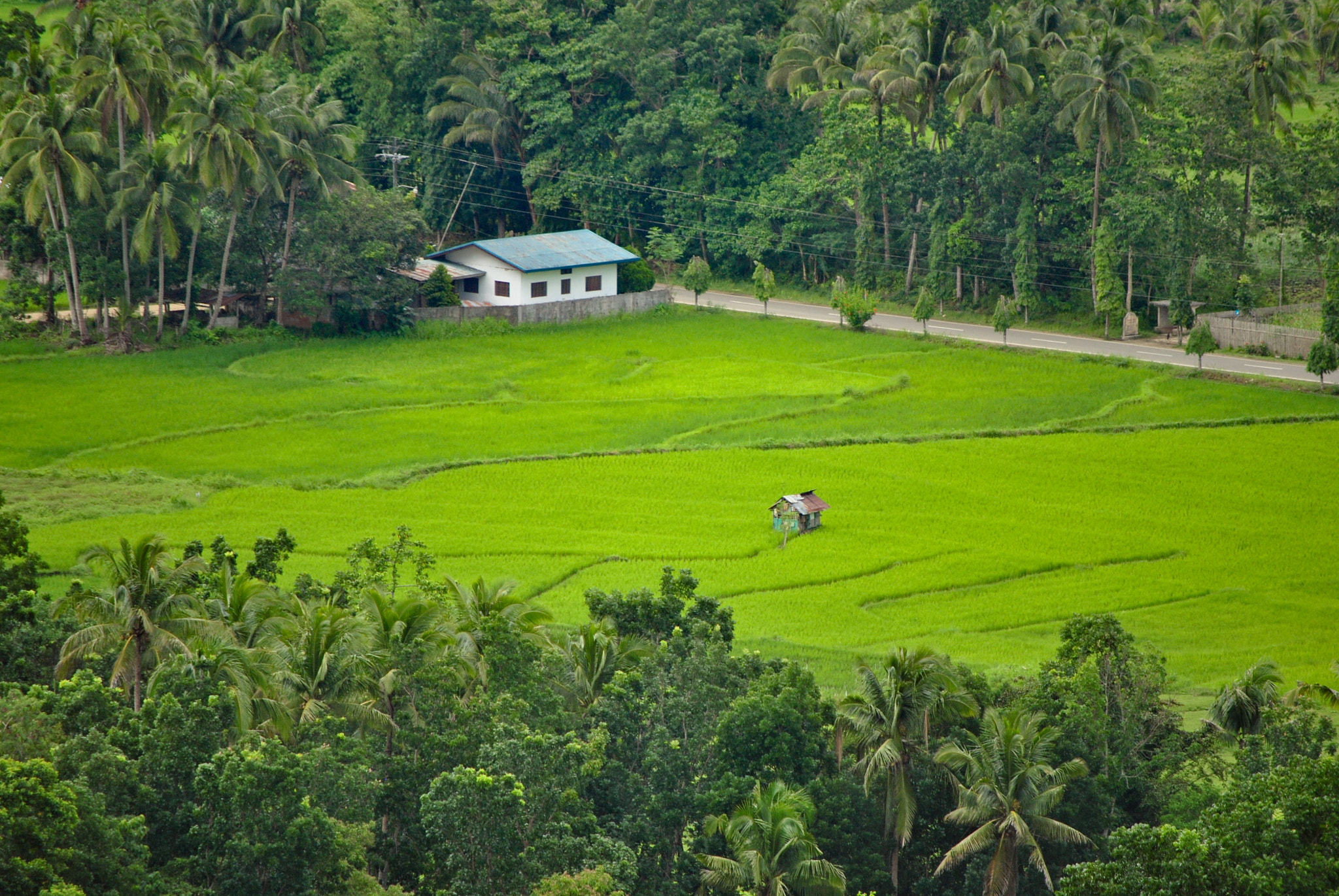 Nikon D3000 sample photo. Bohol, philippines photography