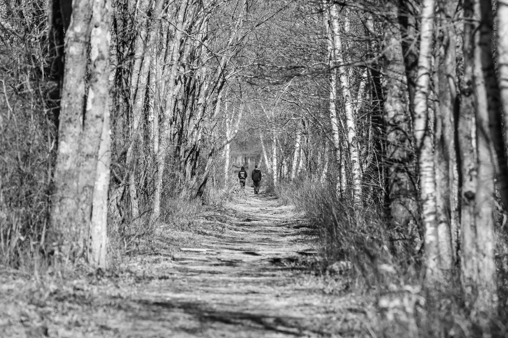 Canon EF 70-300mm F4-5.6L IS USM sample photo. A walk down the trail photography