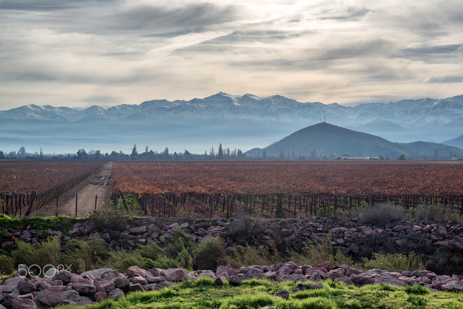 Nikon D800 + Nikon AF-S Nikkor 50mm F1.8G sample photo. Roads lead to mendoza photography