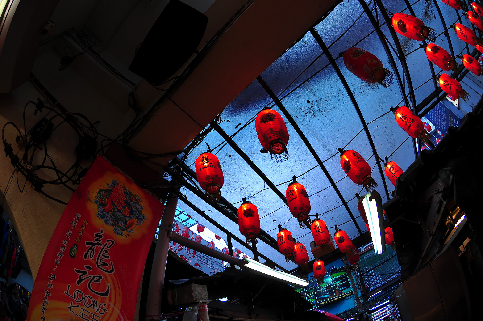 Nikon AF DX Fisheye-Nikkor 10.5mm F2.8G ED sample photo. Lampions photography