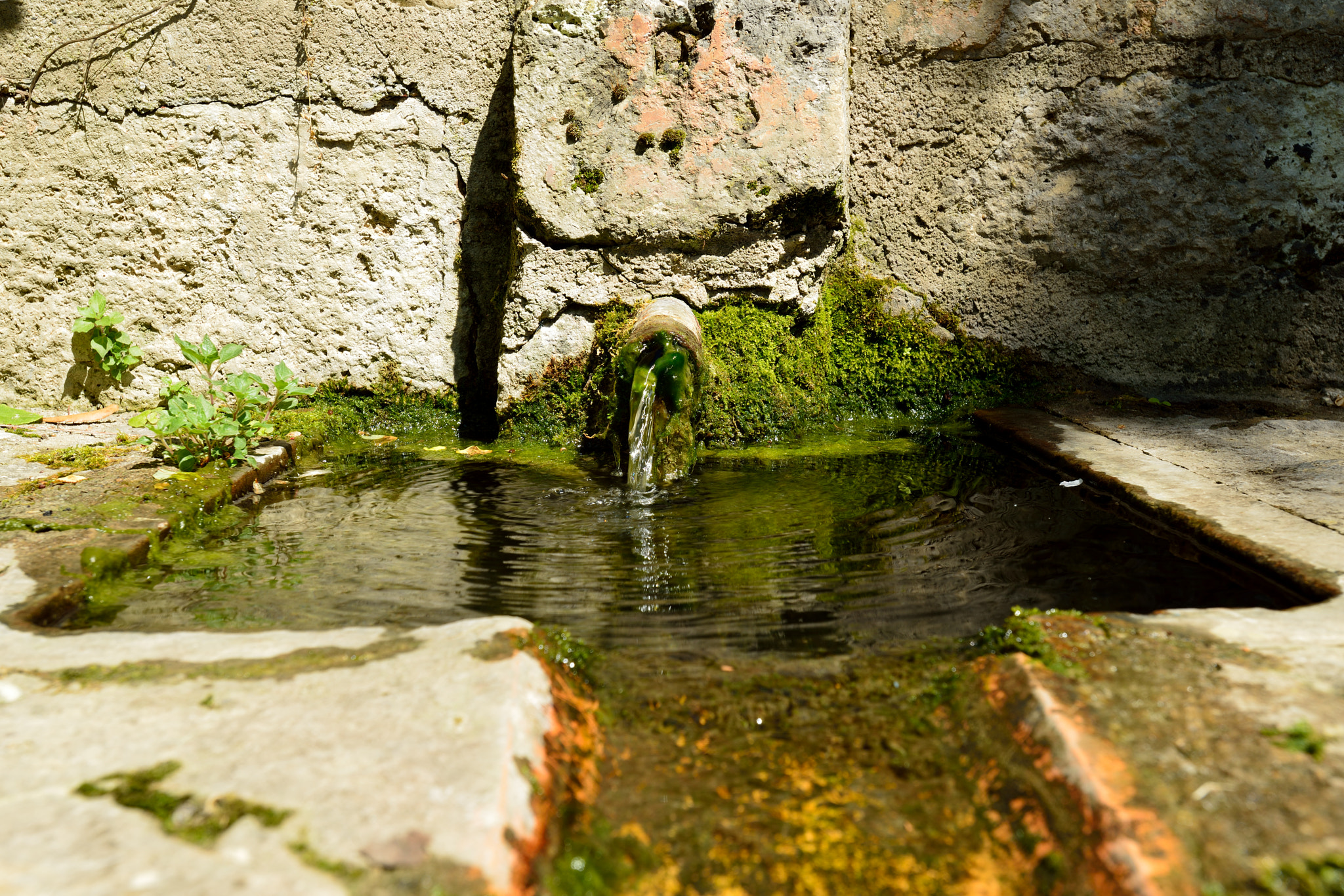 Nikon AF-S Nikkor 17-35mm F2.8D ED-IF sample photo. Nérac - fontaine.jpg photography