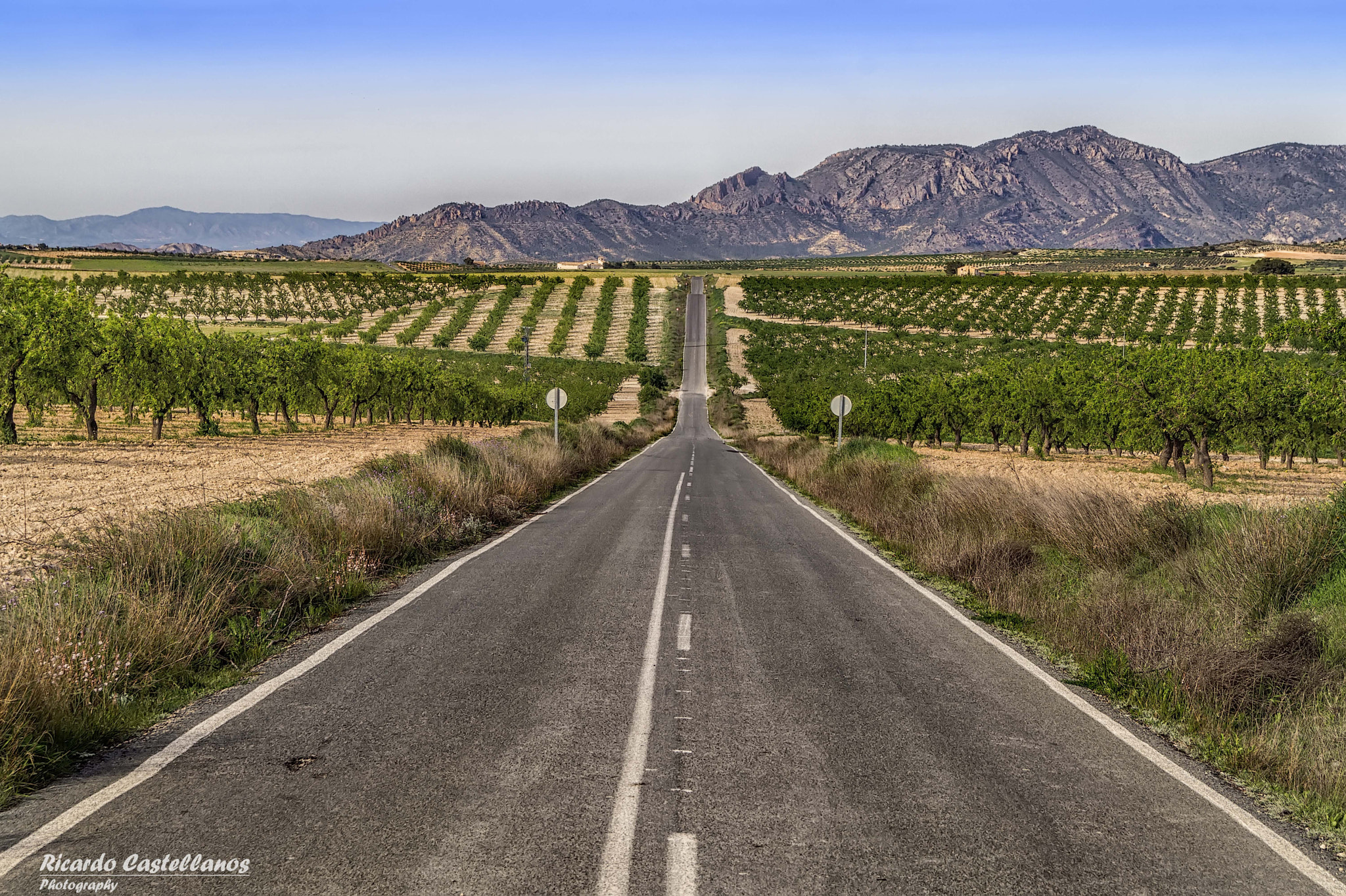 Sony SLT-A58 + Sony DT 18-55mm F3.5-5.6 SAM sample photo. Huerta en el valle de ricote (murcia) photography