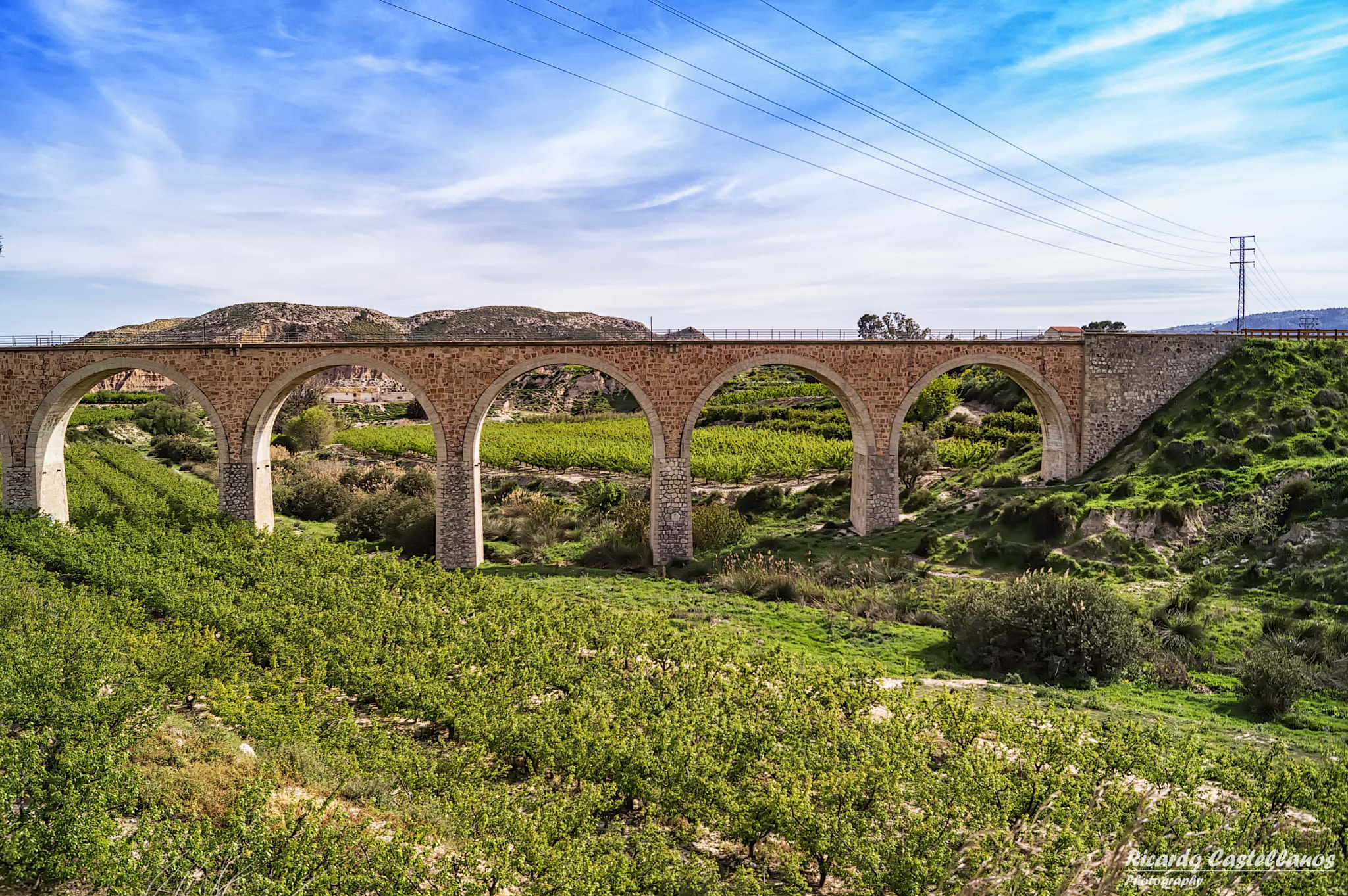 Sony SLT-A58 sample photo. Huerta murciana en mula (murcia). photography