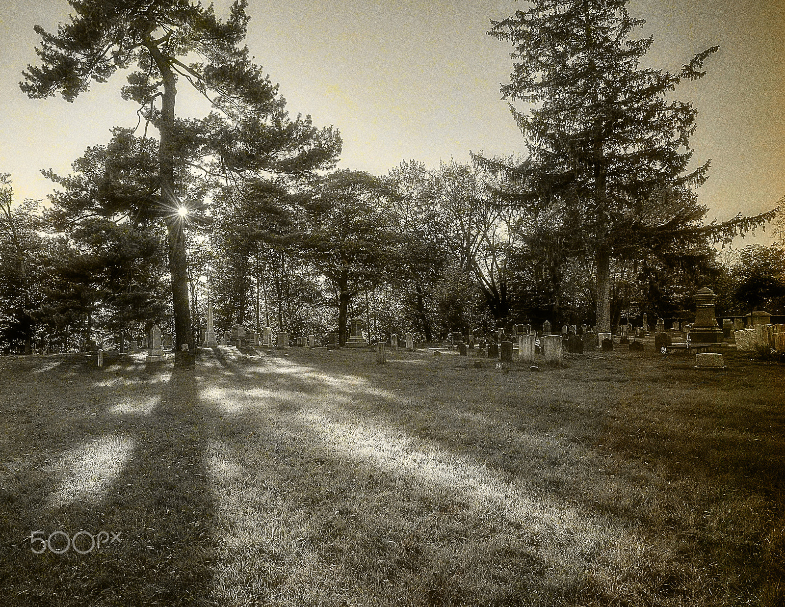 Nikon AF-S Nikkor 16-35mm F4G ED VR sample photo. Neighboring cemeteries from pre revolutionary time photography