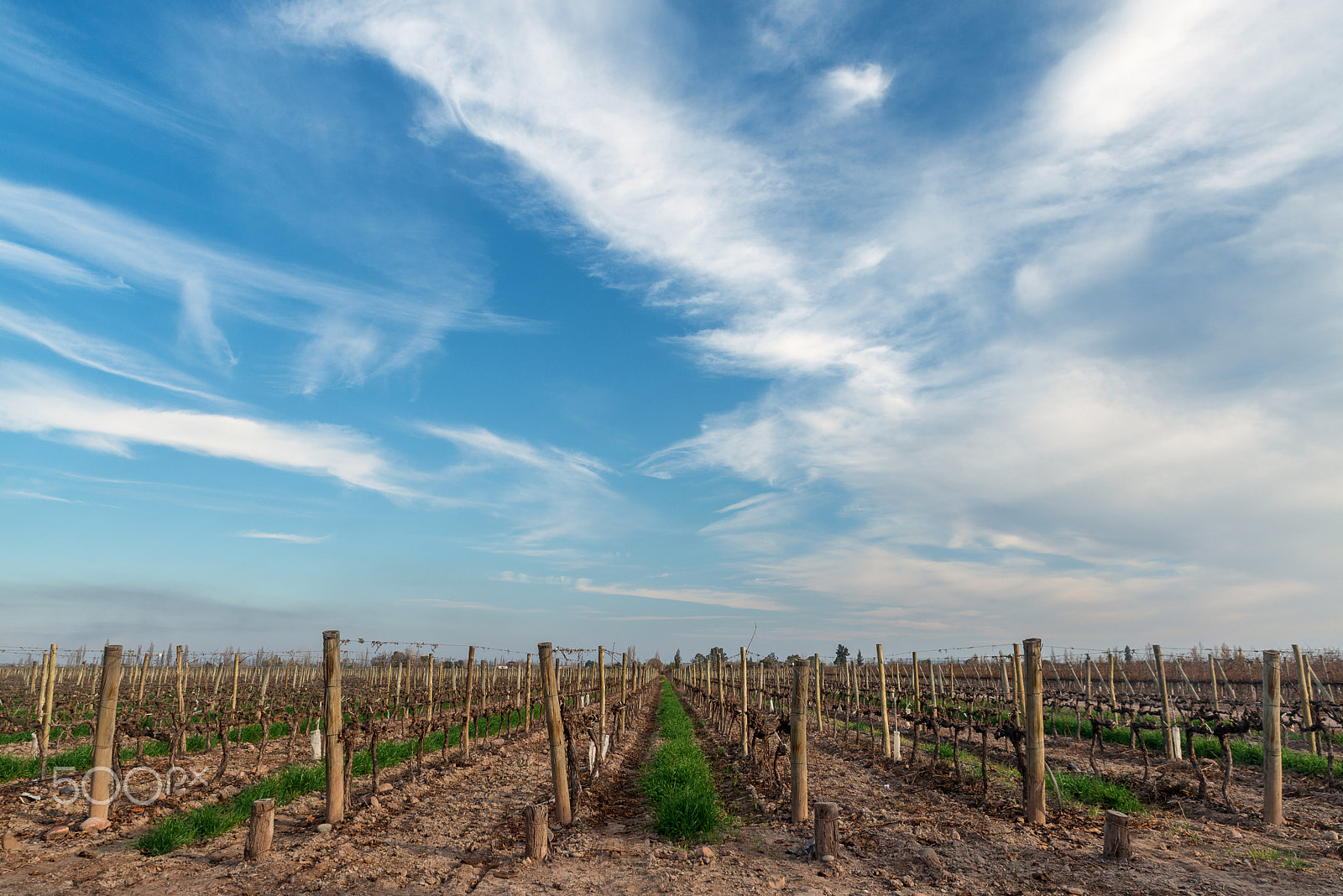 Nikon D800 + Tamron SP 24-70mm F2.8 Di VC USD sample photo. Roads lead to mendoza photography