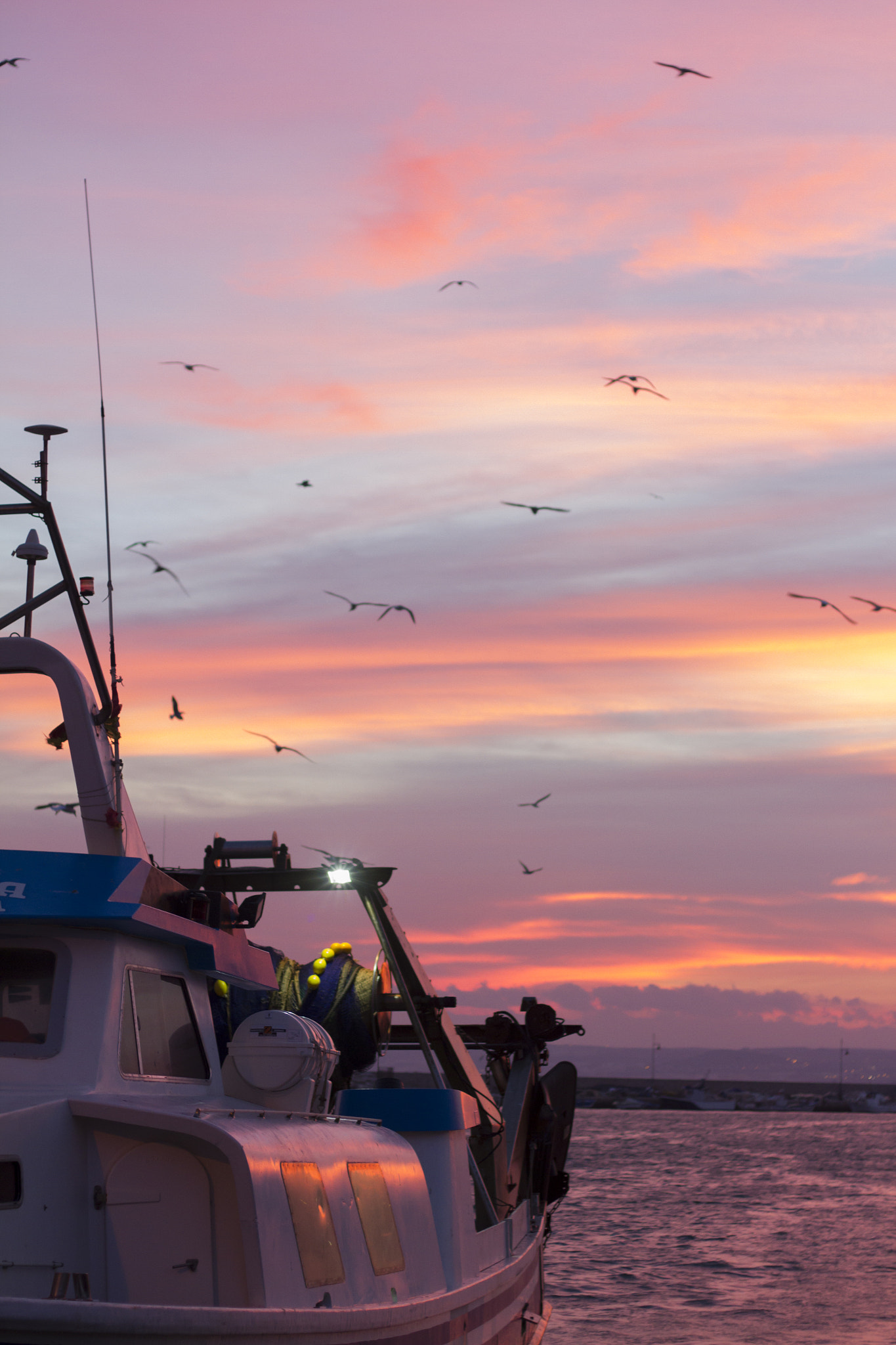 Canon EOS 7D + Canon EF 50mm F1.8 STM sample photo. Sunset orange sky birds boat white boat photography