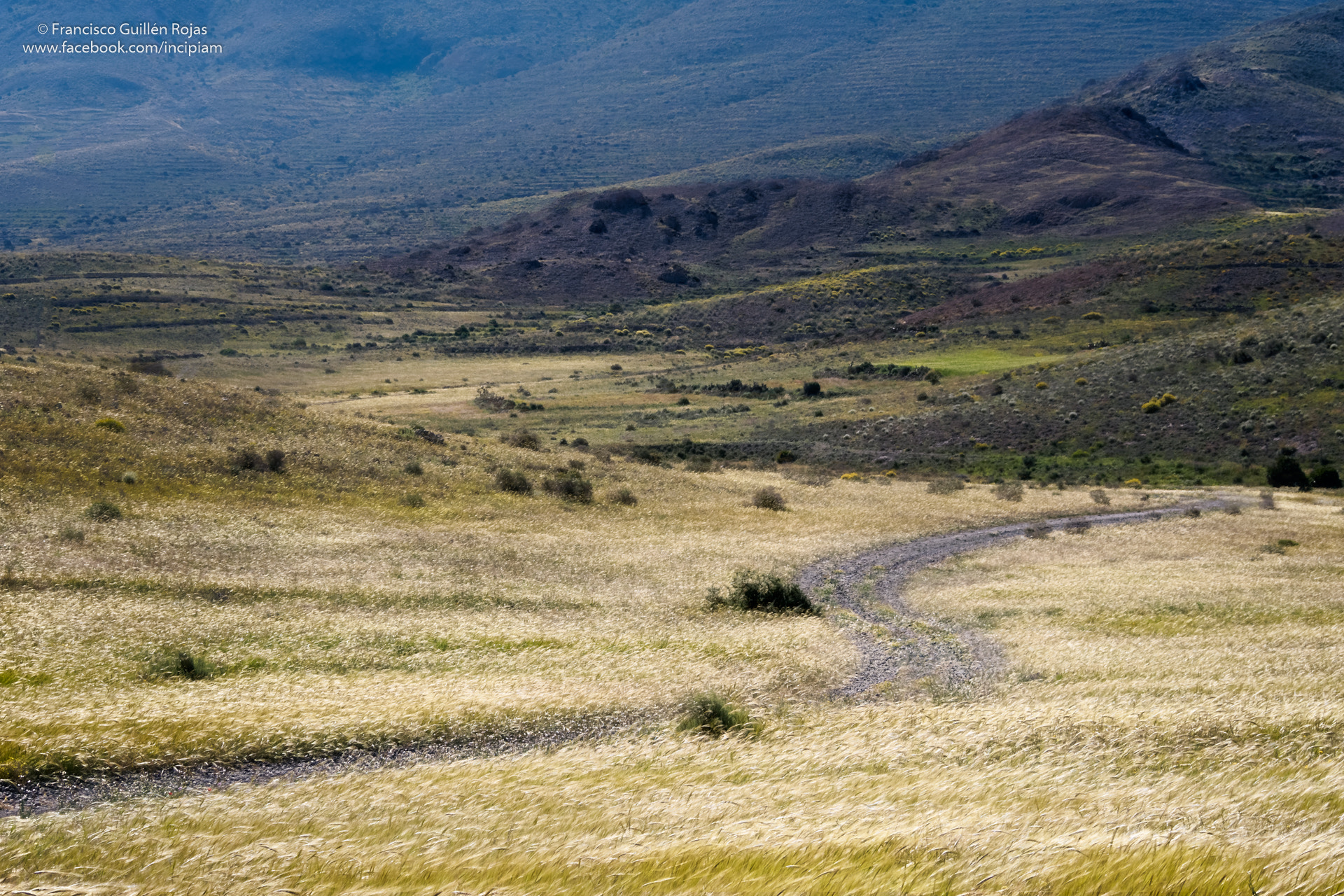 Olympus OM-D E-M5 II sample photo. Between los escullos y el pozo photography